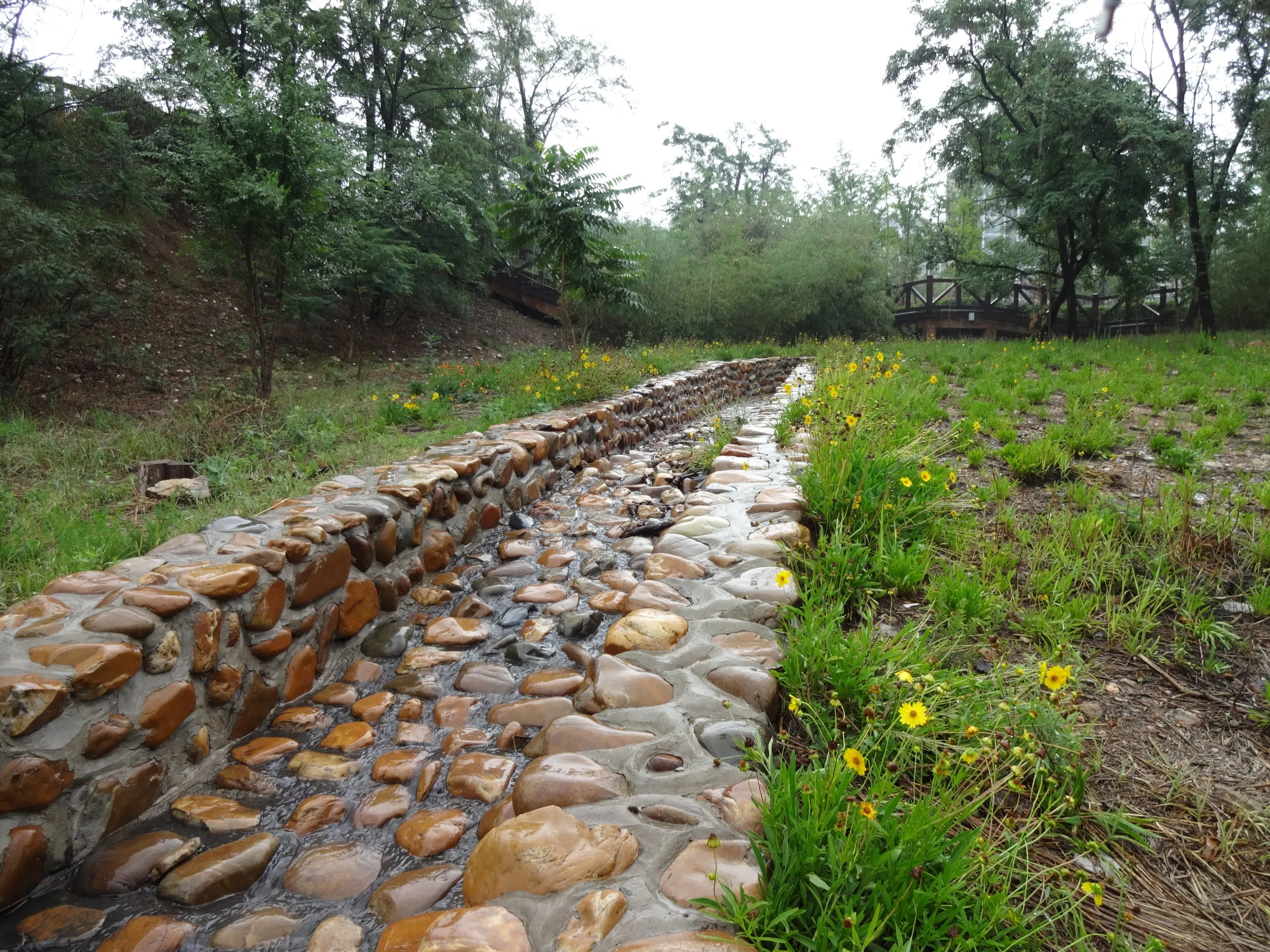 西山水庫の風景