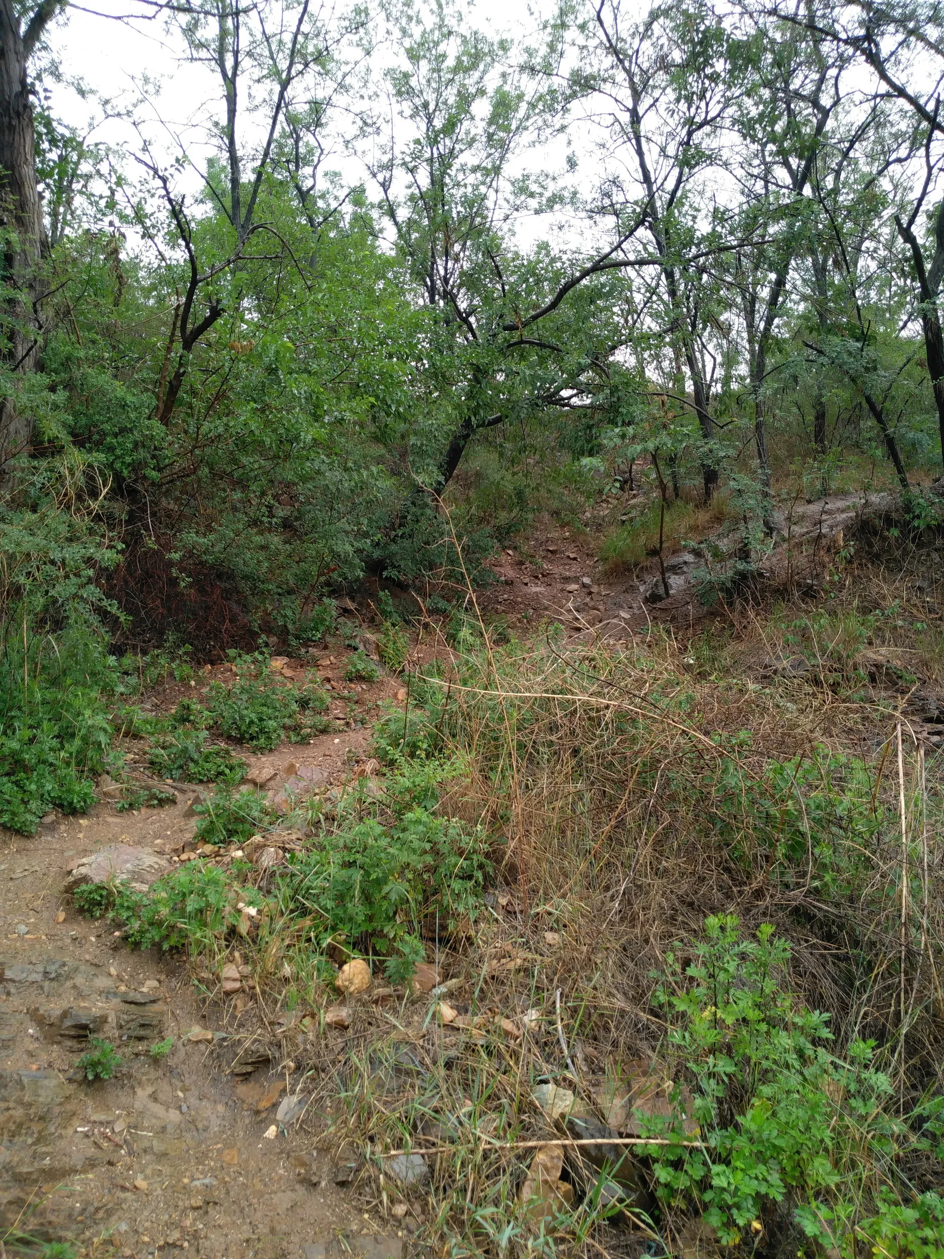 少し高い場所からの風景