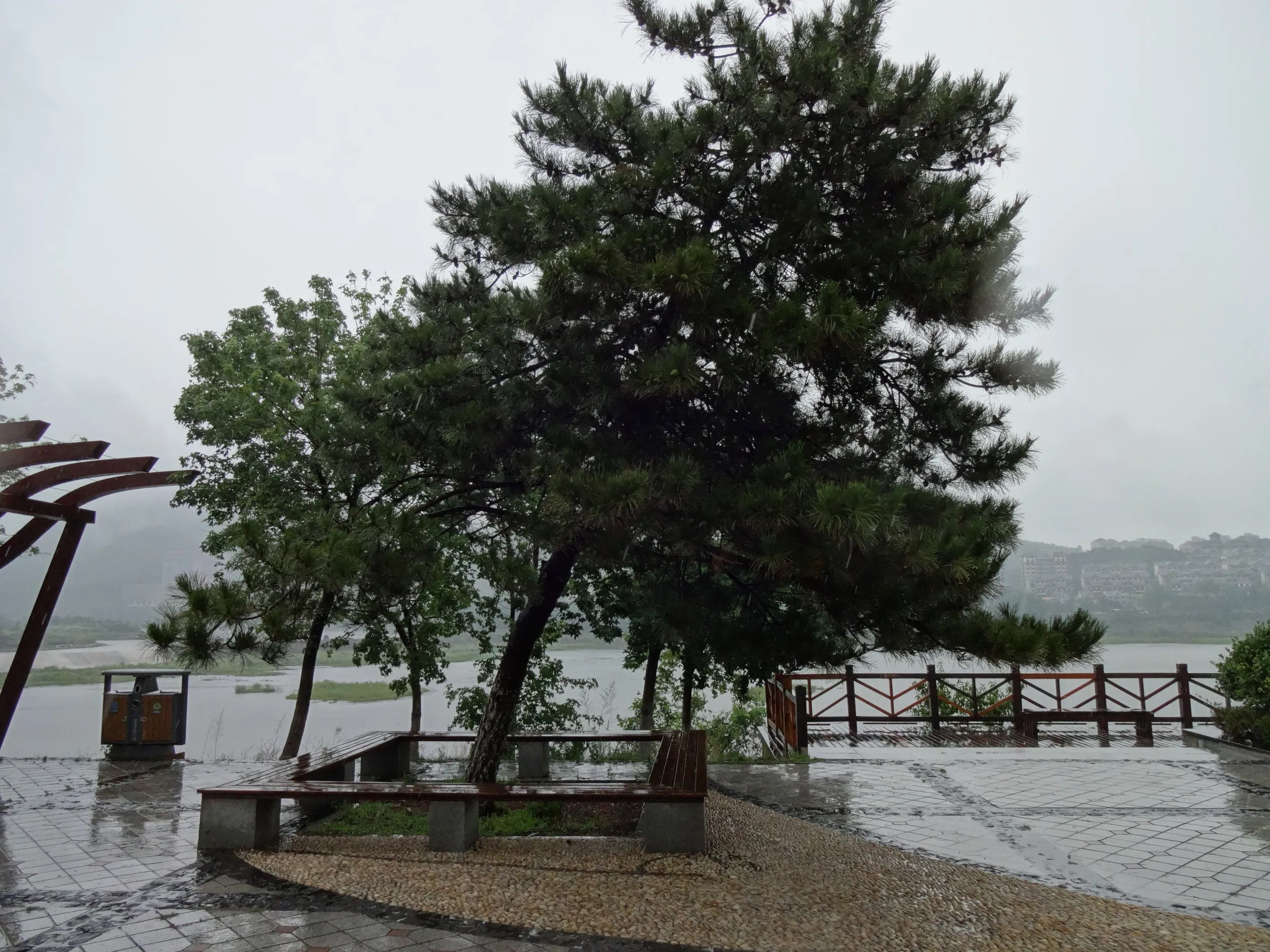 西山水庫の散歩風景