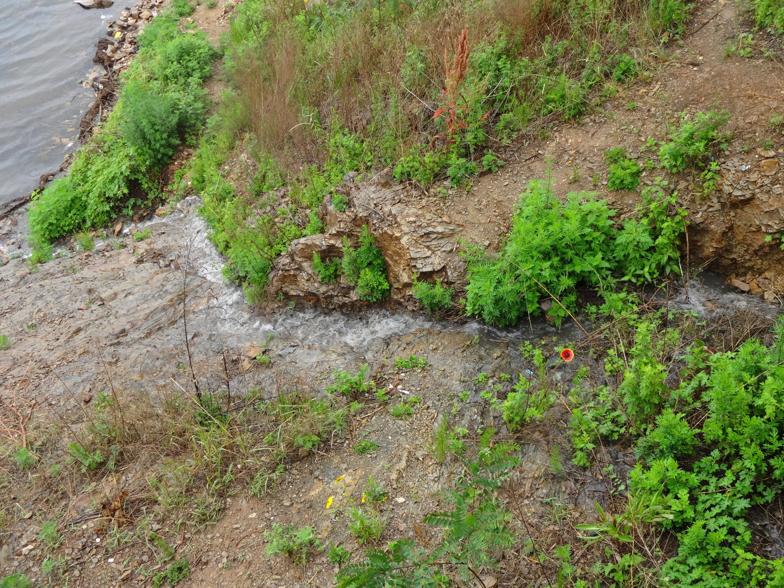 雨水が流れ込む様子