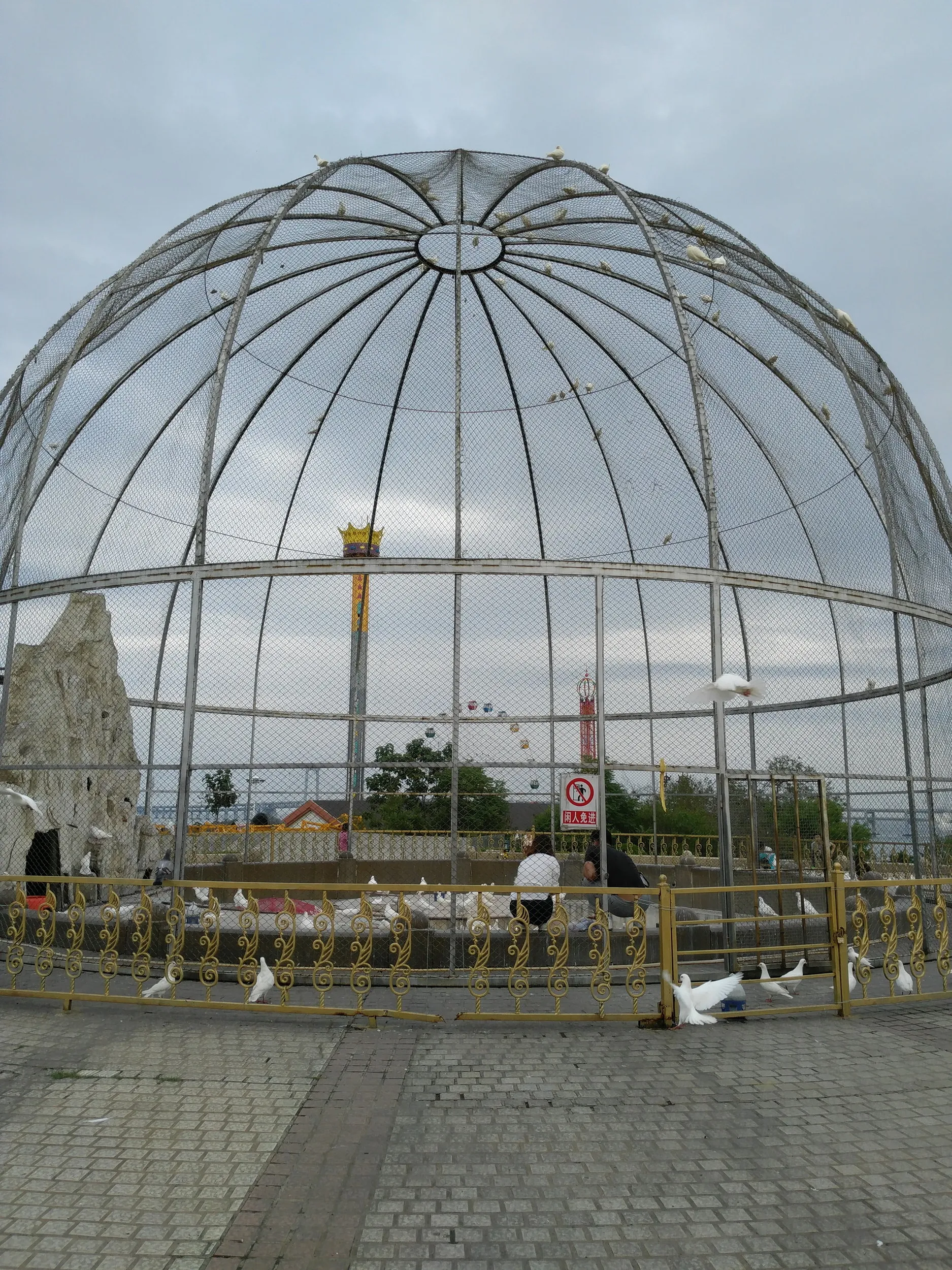 ユースホステル裏の鳩小屋