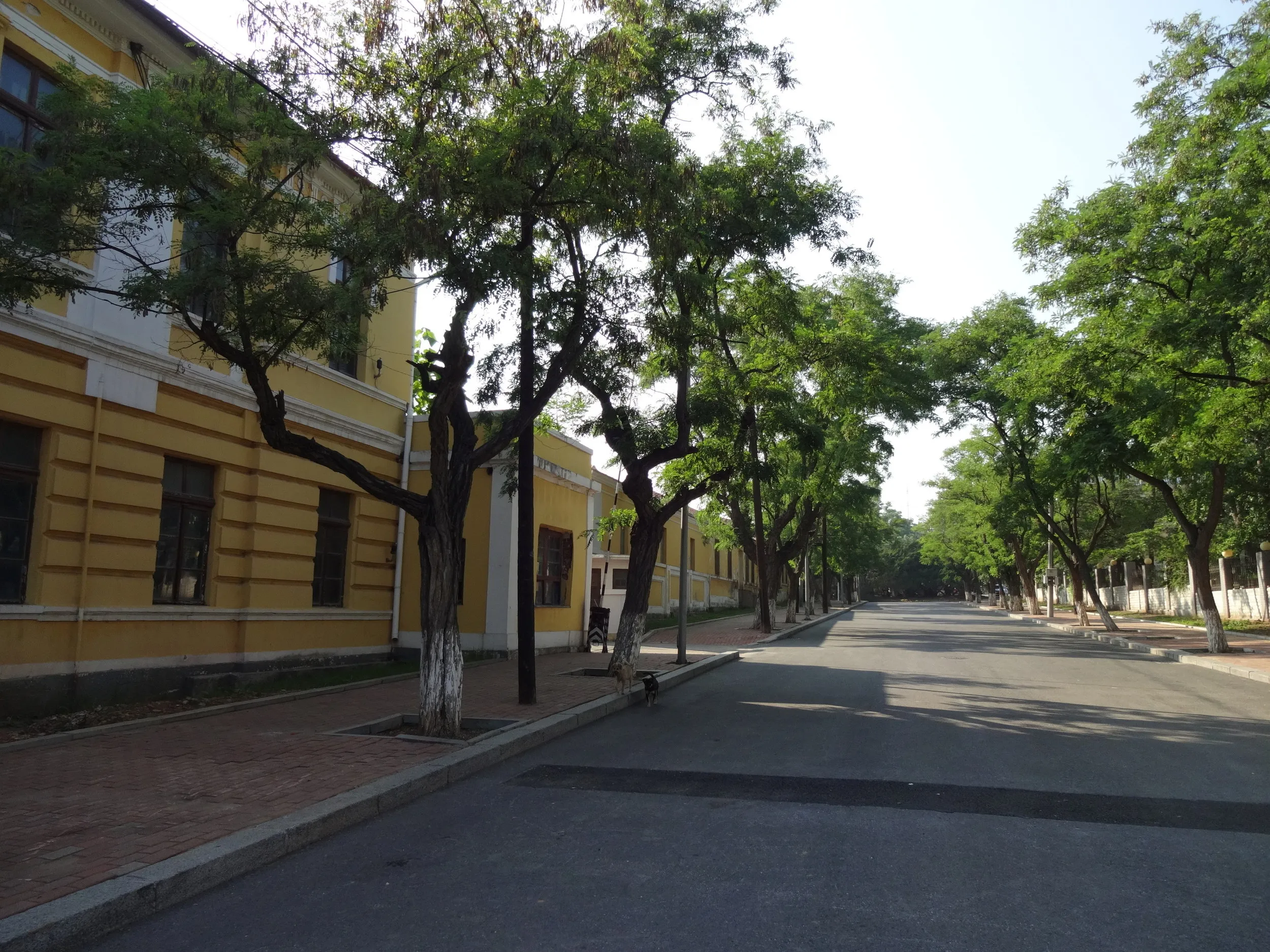 関東軍司令部跡