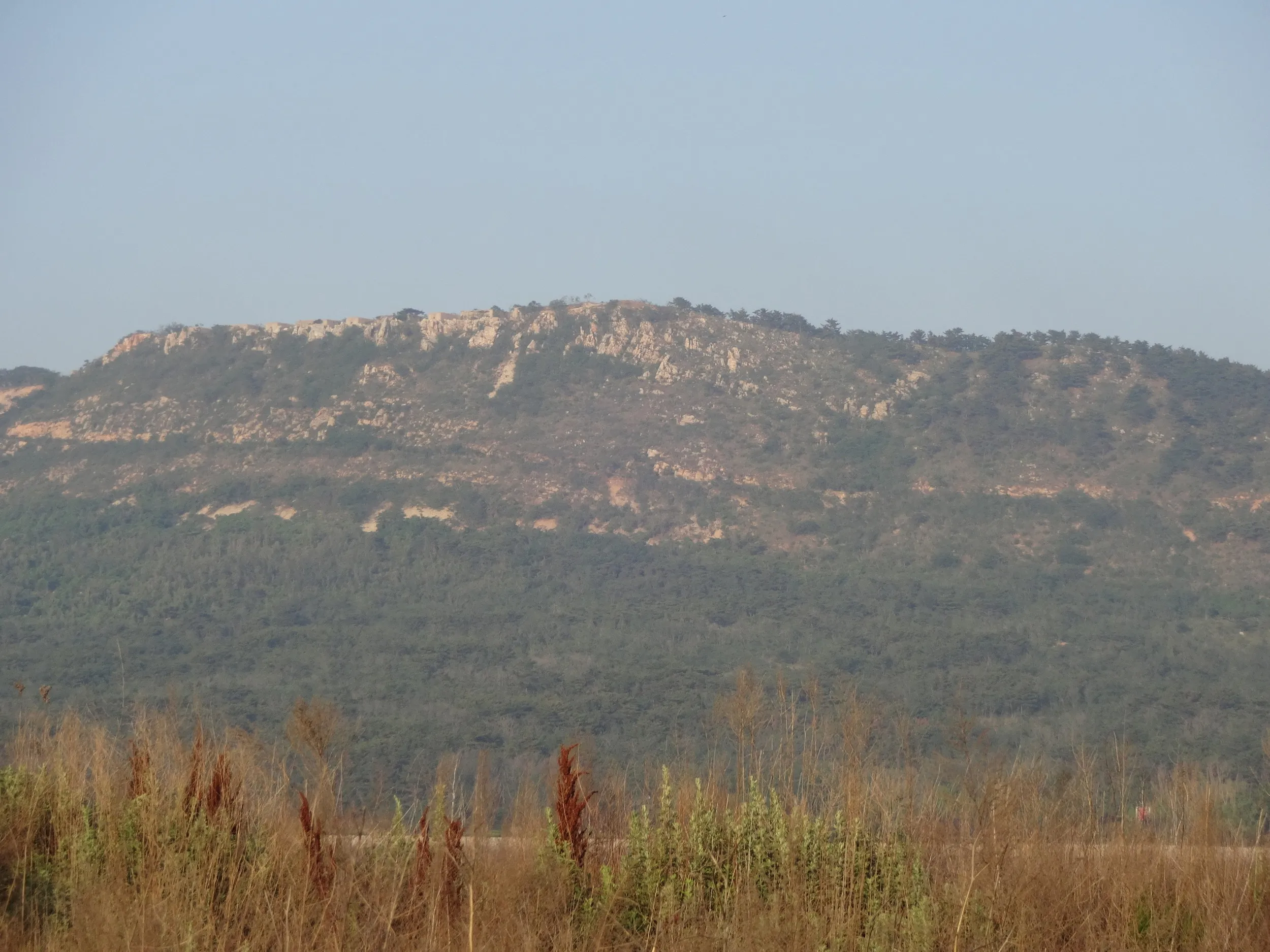 西鶏冠山を眺める