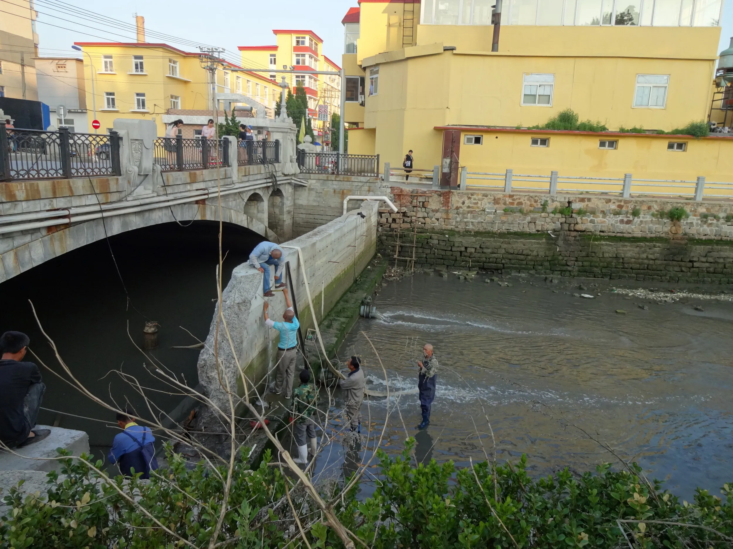 軍港遊園付近の橋