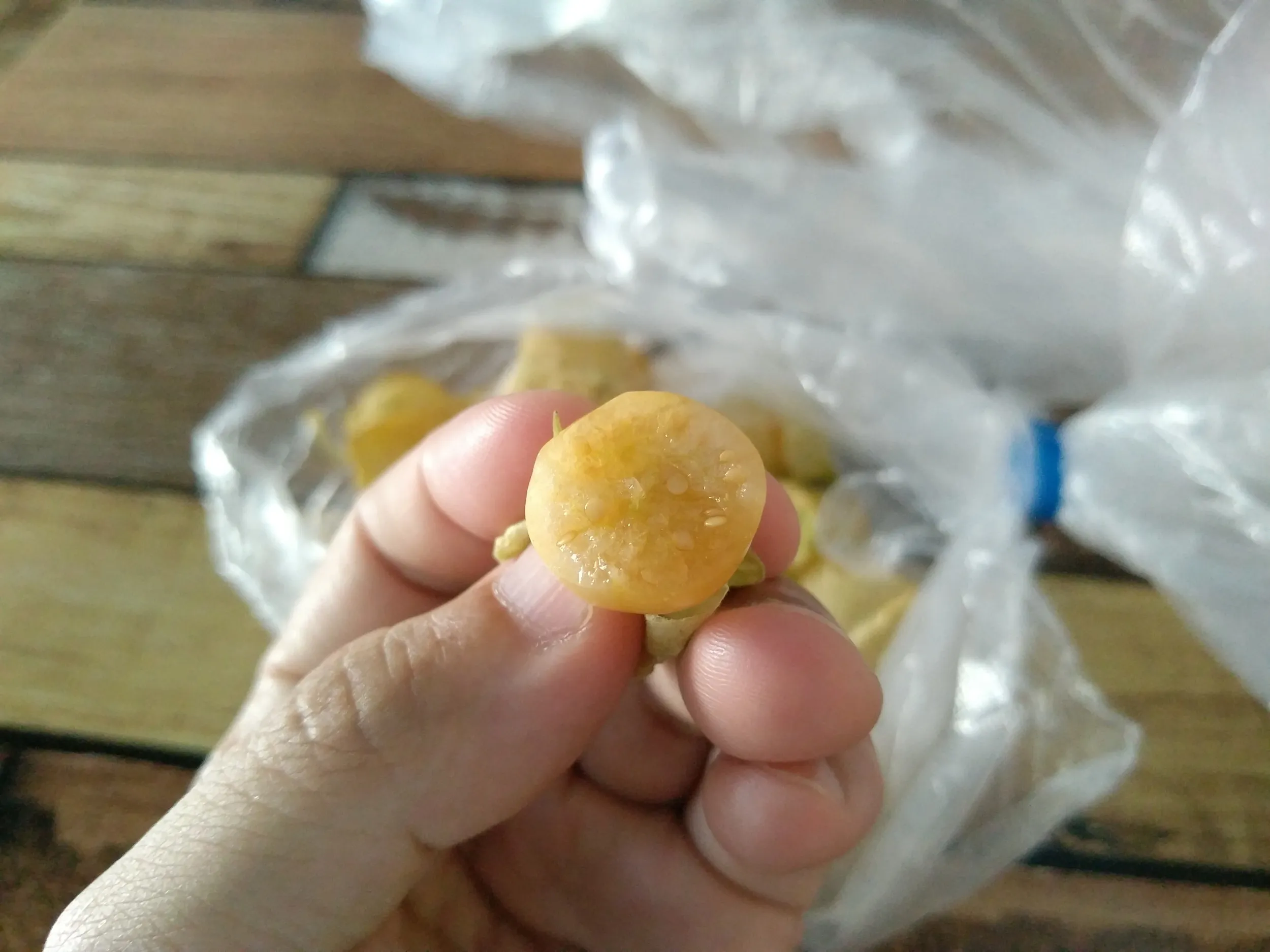 菇娘という果物