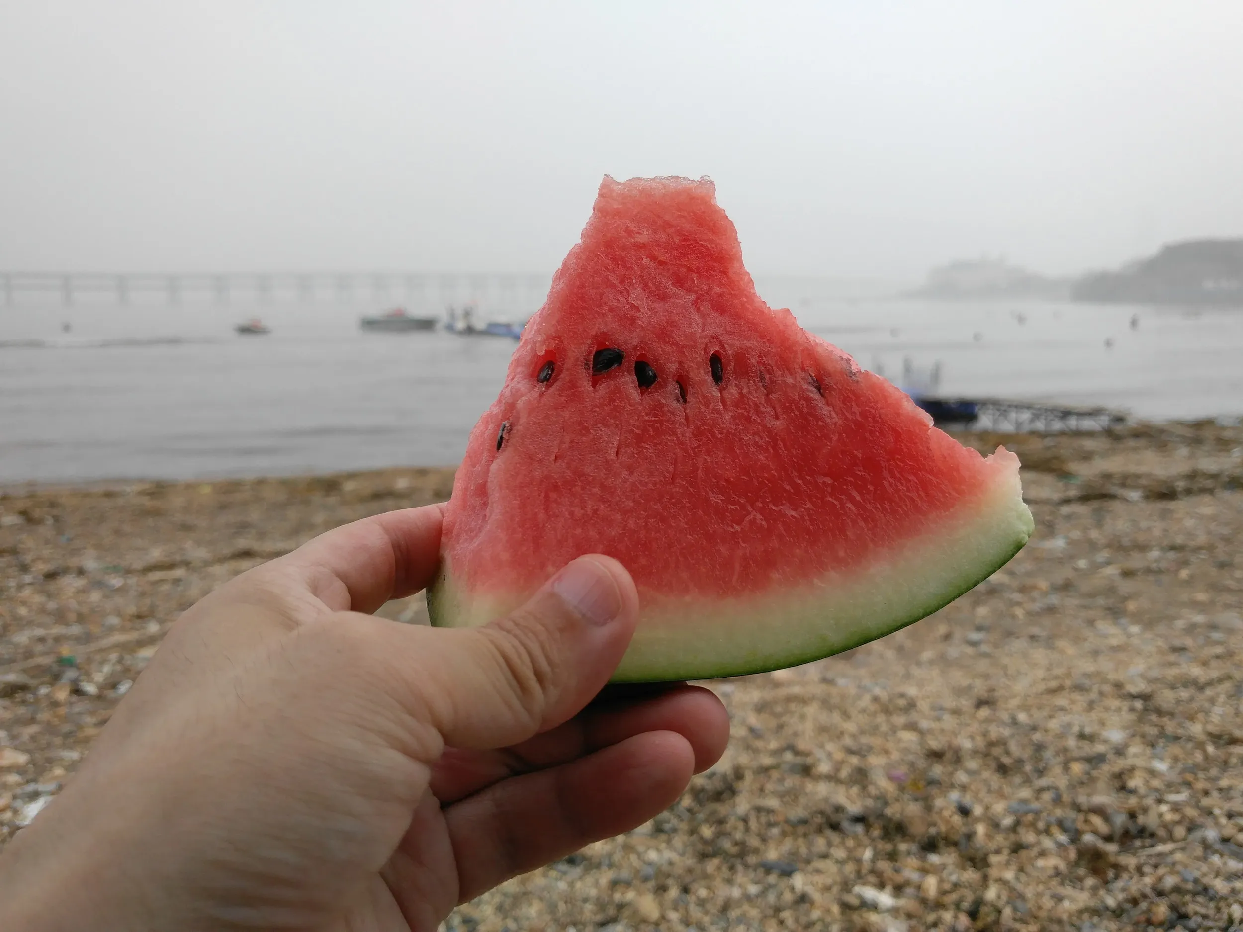 星海公園でスイカを食す
