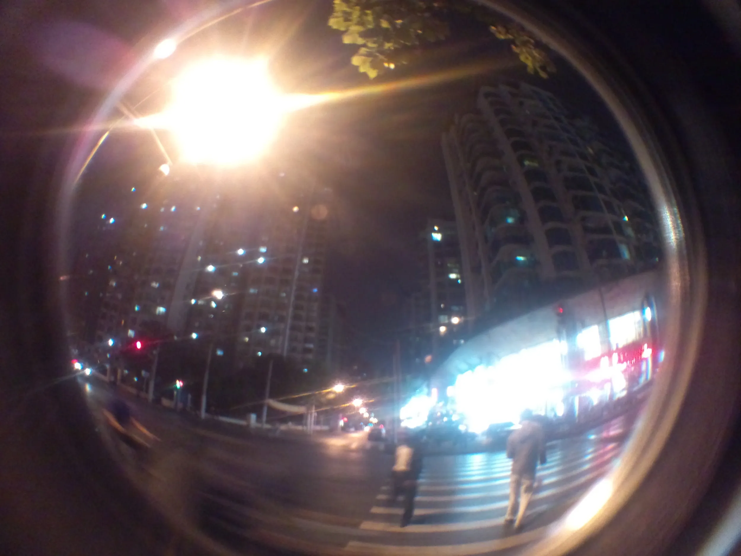 コアラ（Koala）考拉国際青年旅舎付近の夜景