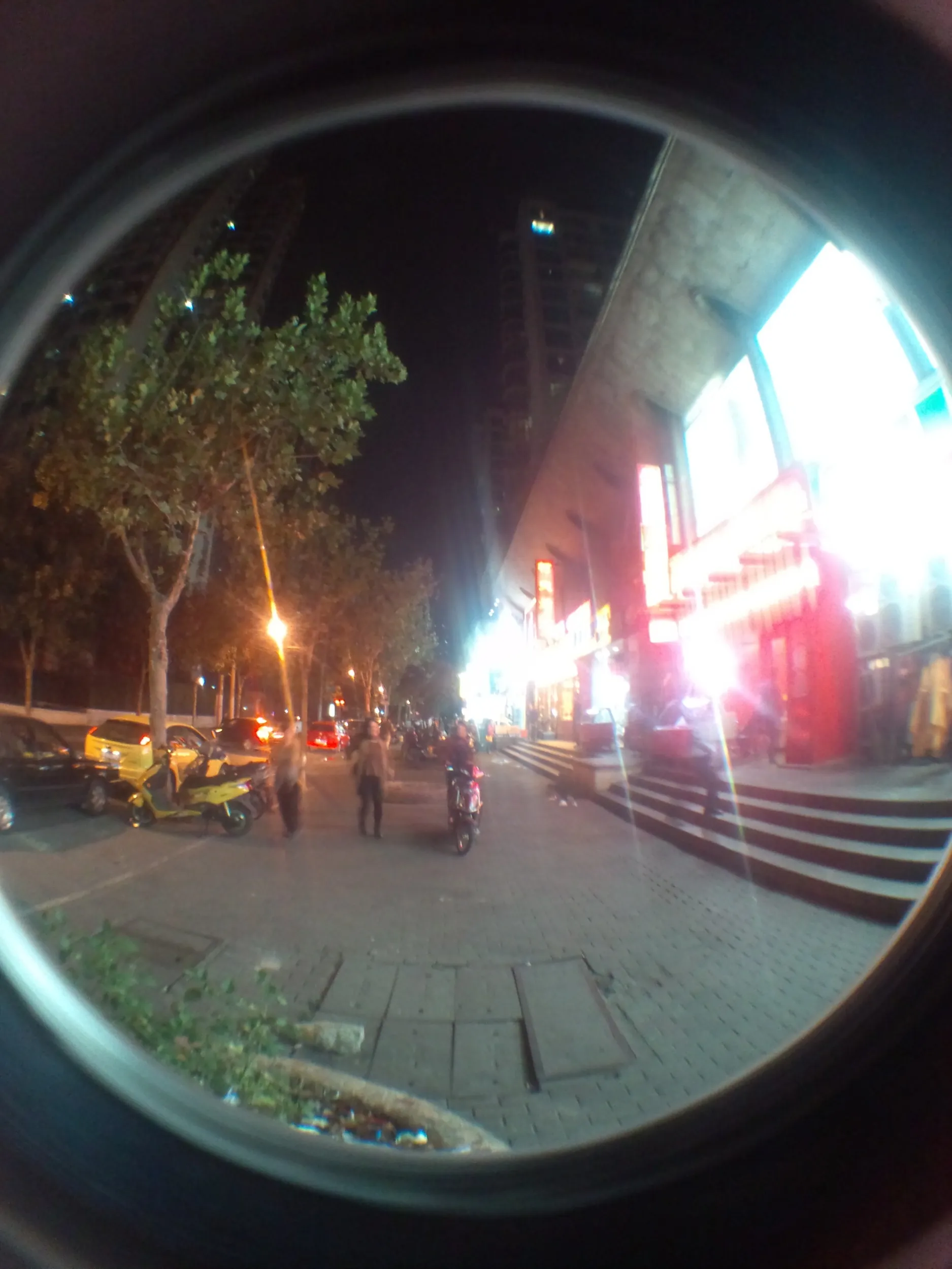 コアラ（Koala）考拉国際青年旅舎付近の夜景