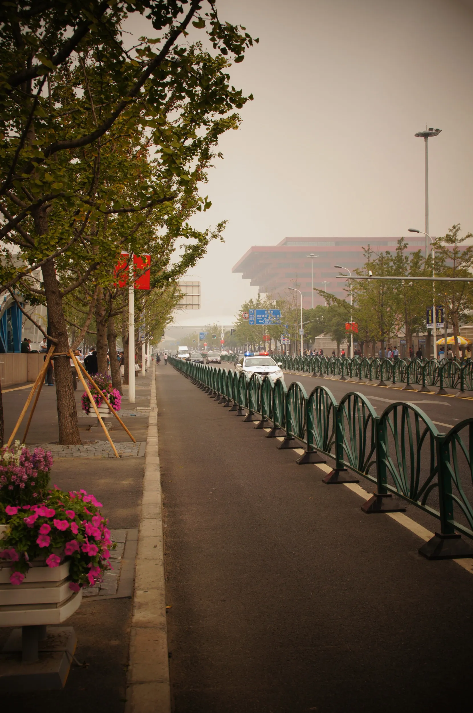 上南路と万博会場跡地