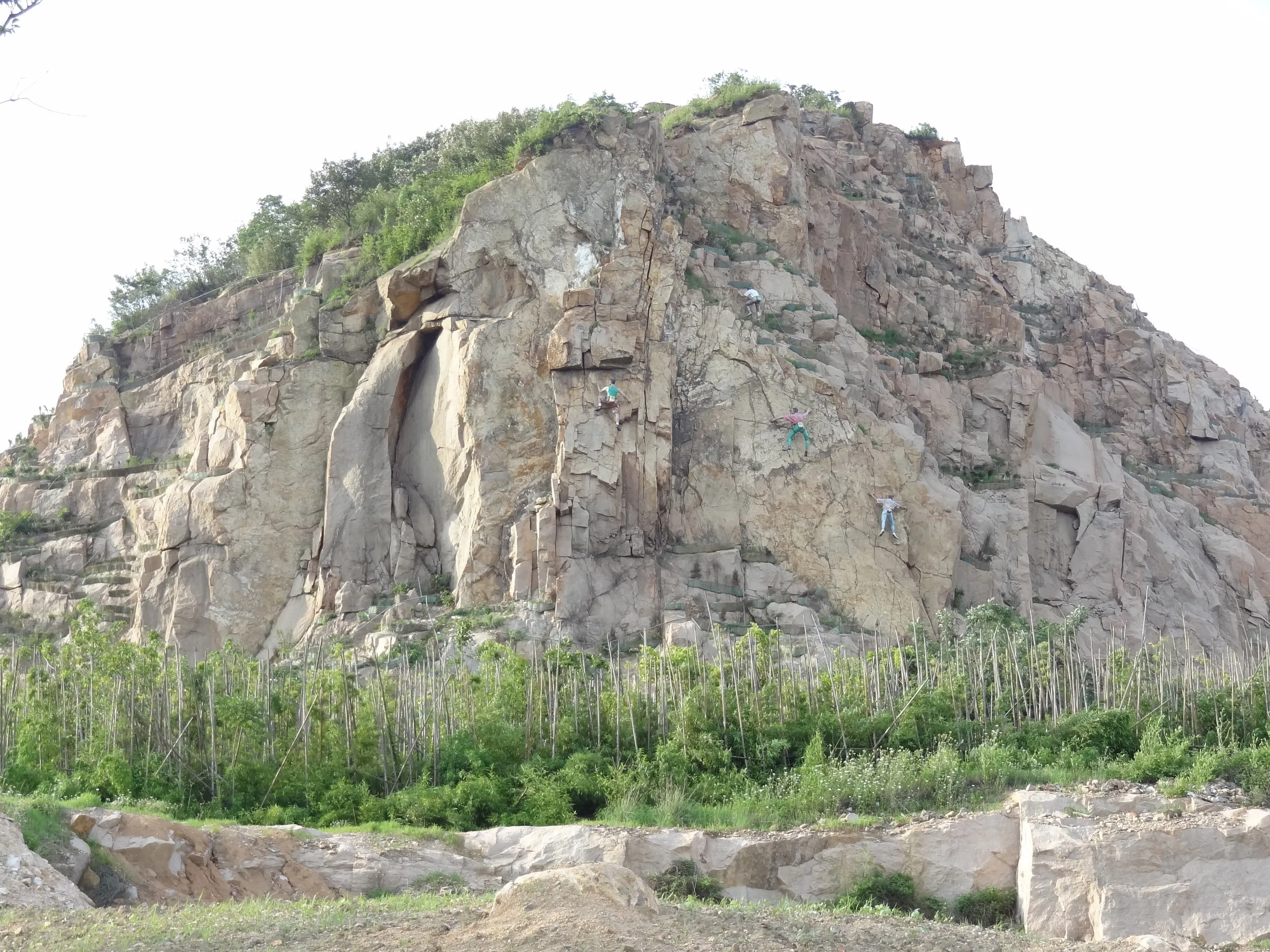 バス待ち中の風景