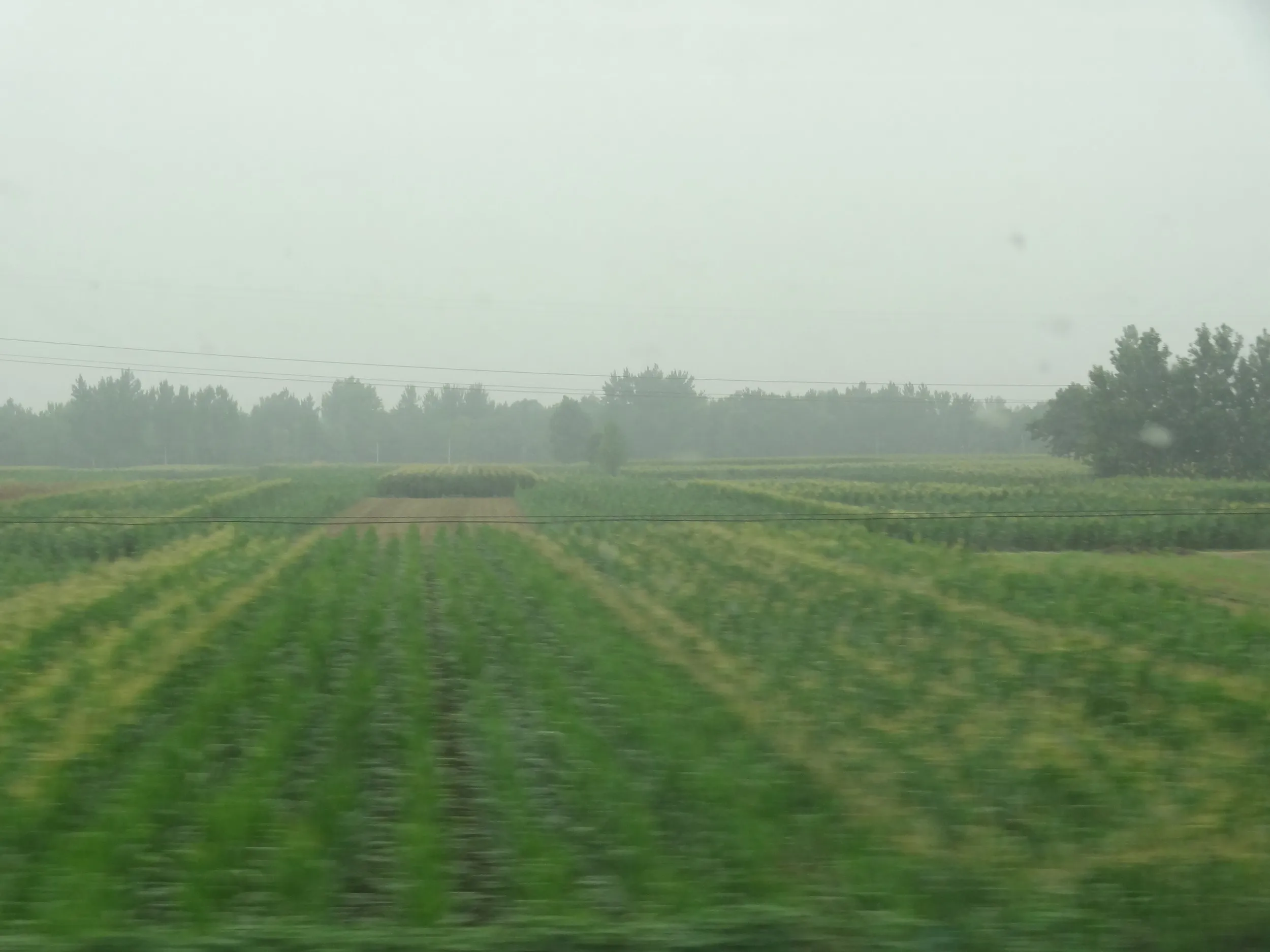 長距離バスの中からの風景