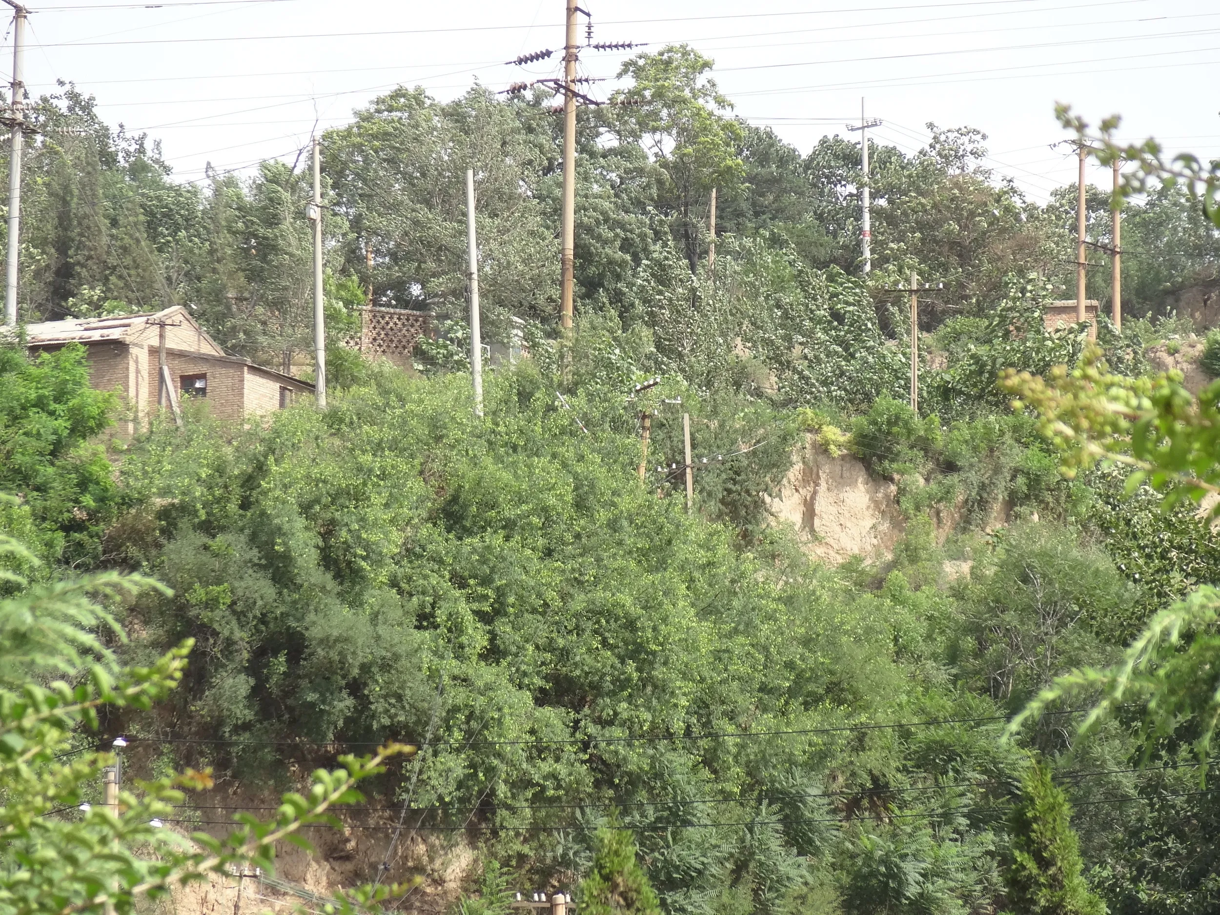 ダムへ向かう途中の民家や畑