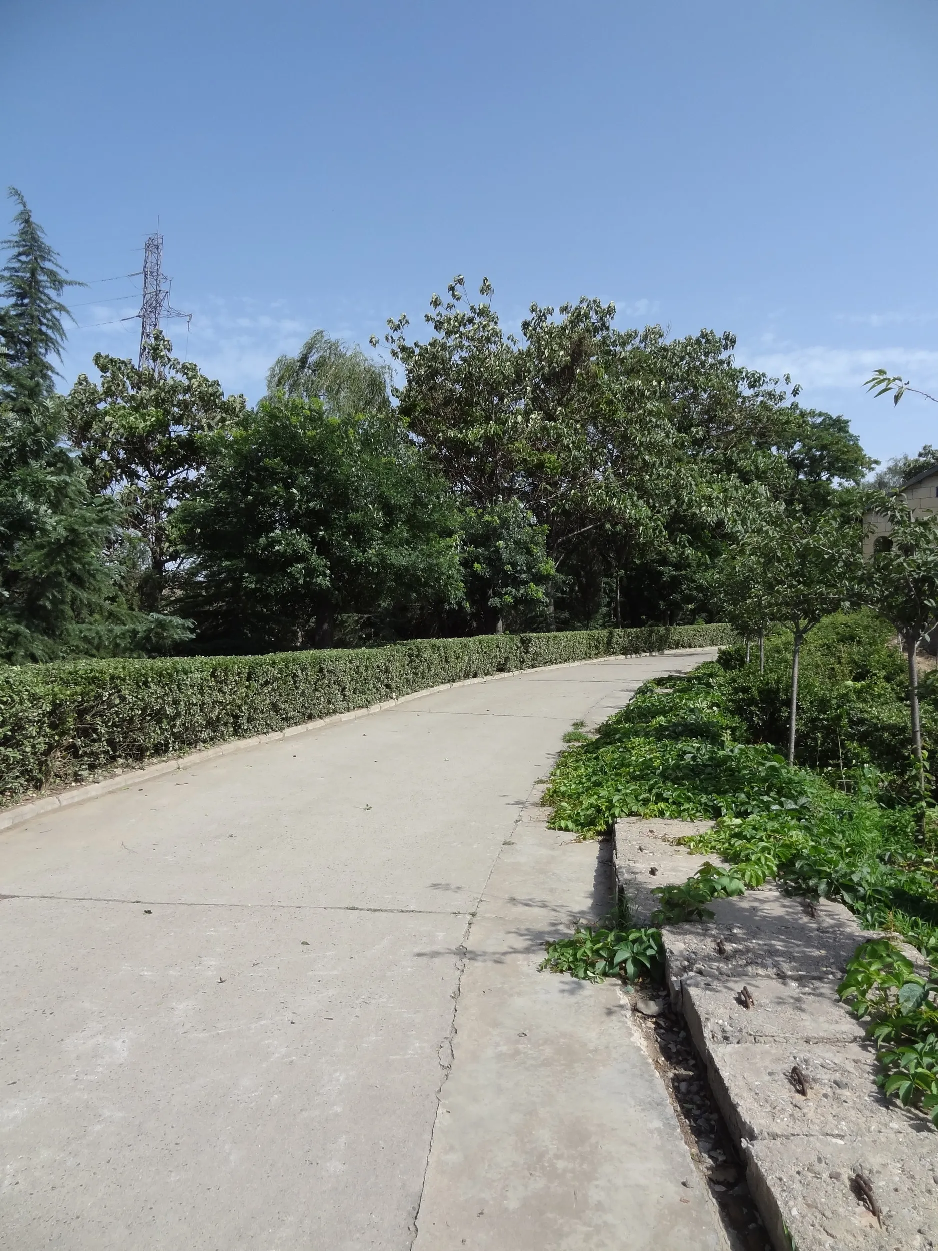 黄河にかかる橋を望む