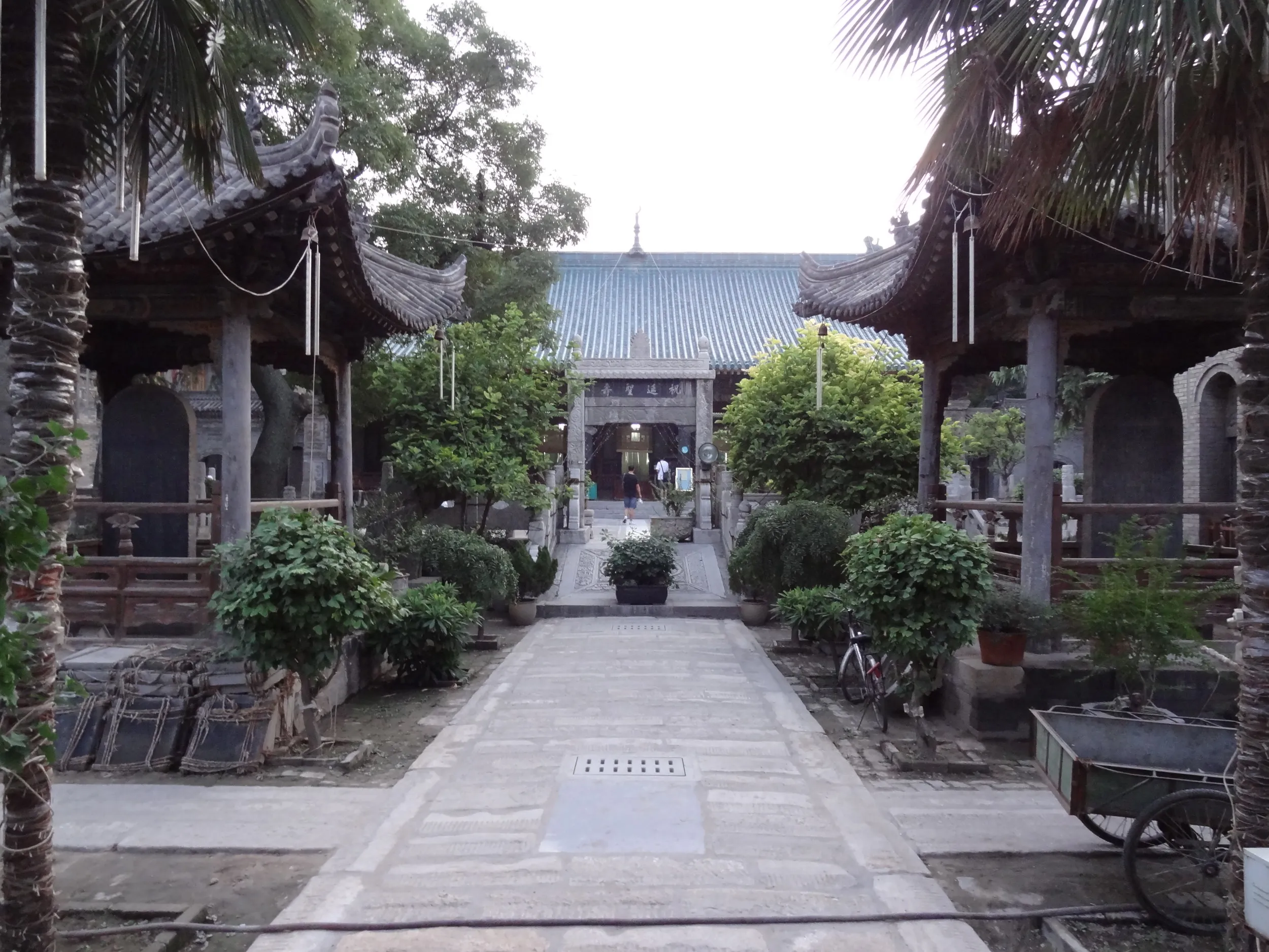 空が白飛びした写真