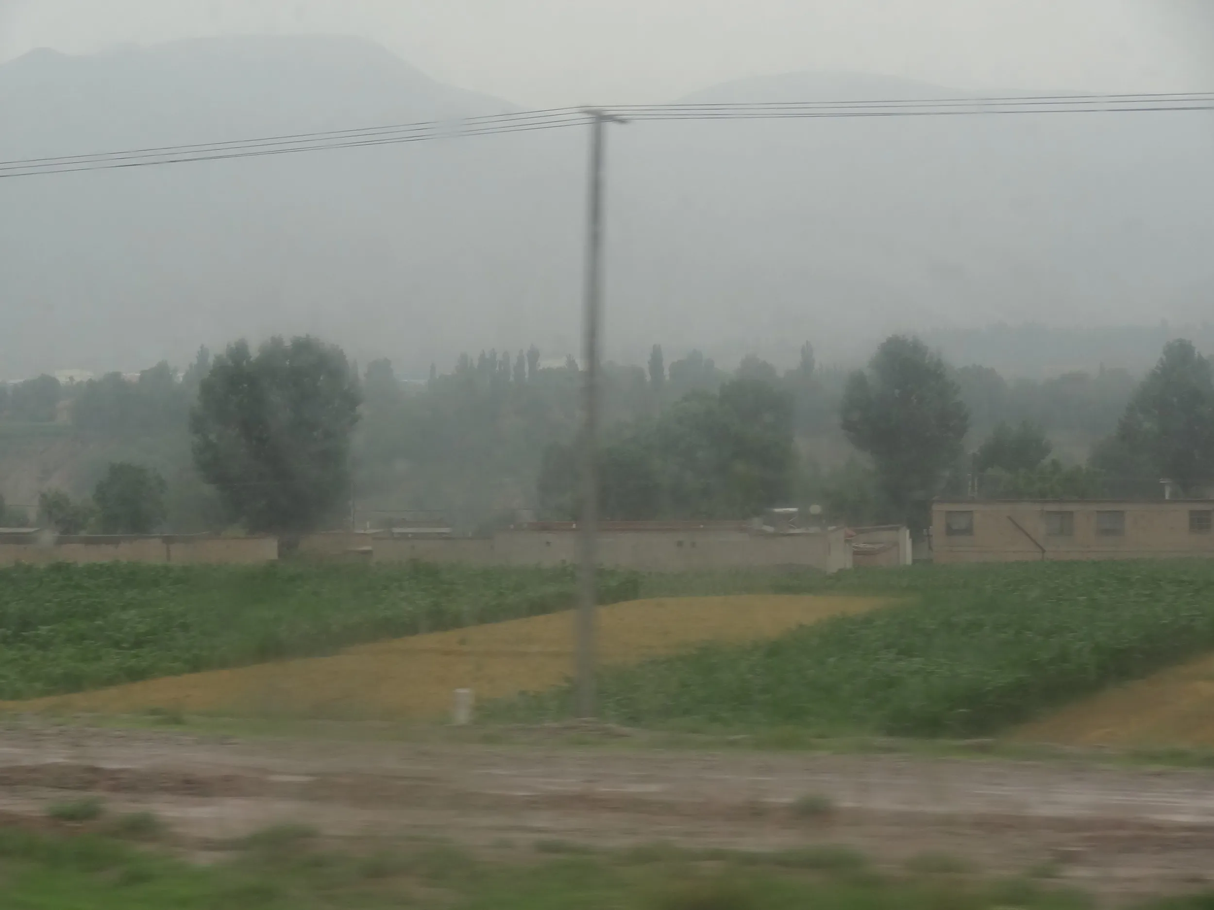 うら寂しい農村の風景