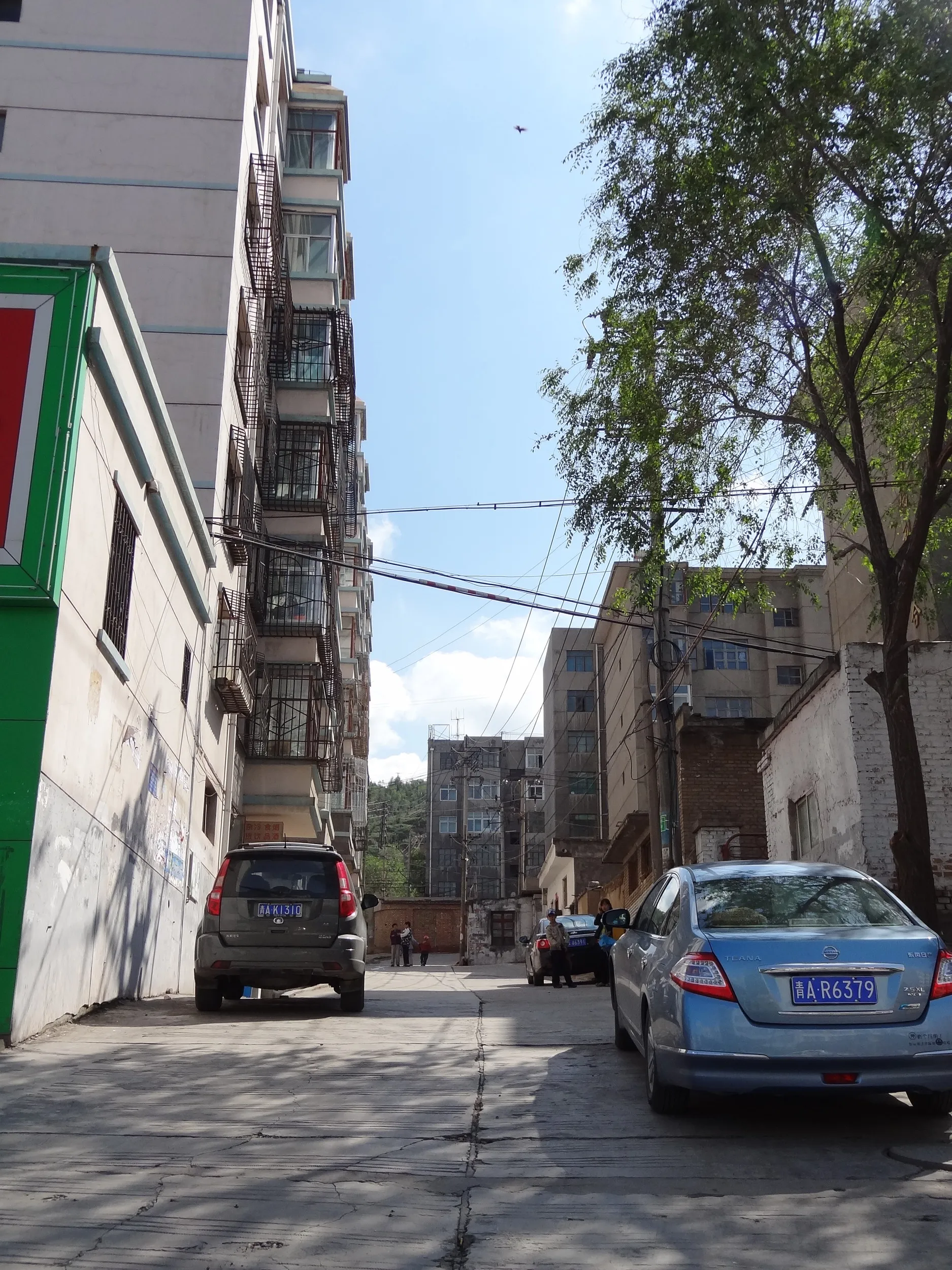 南山公園付近のマンション群