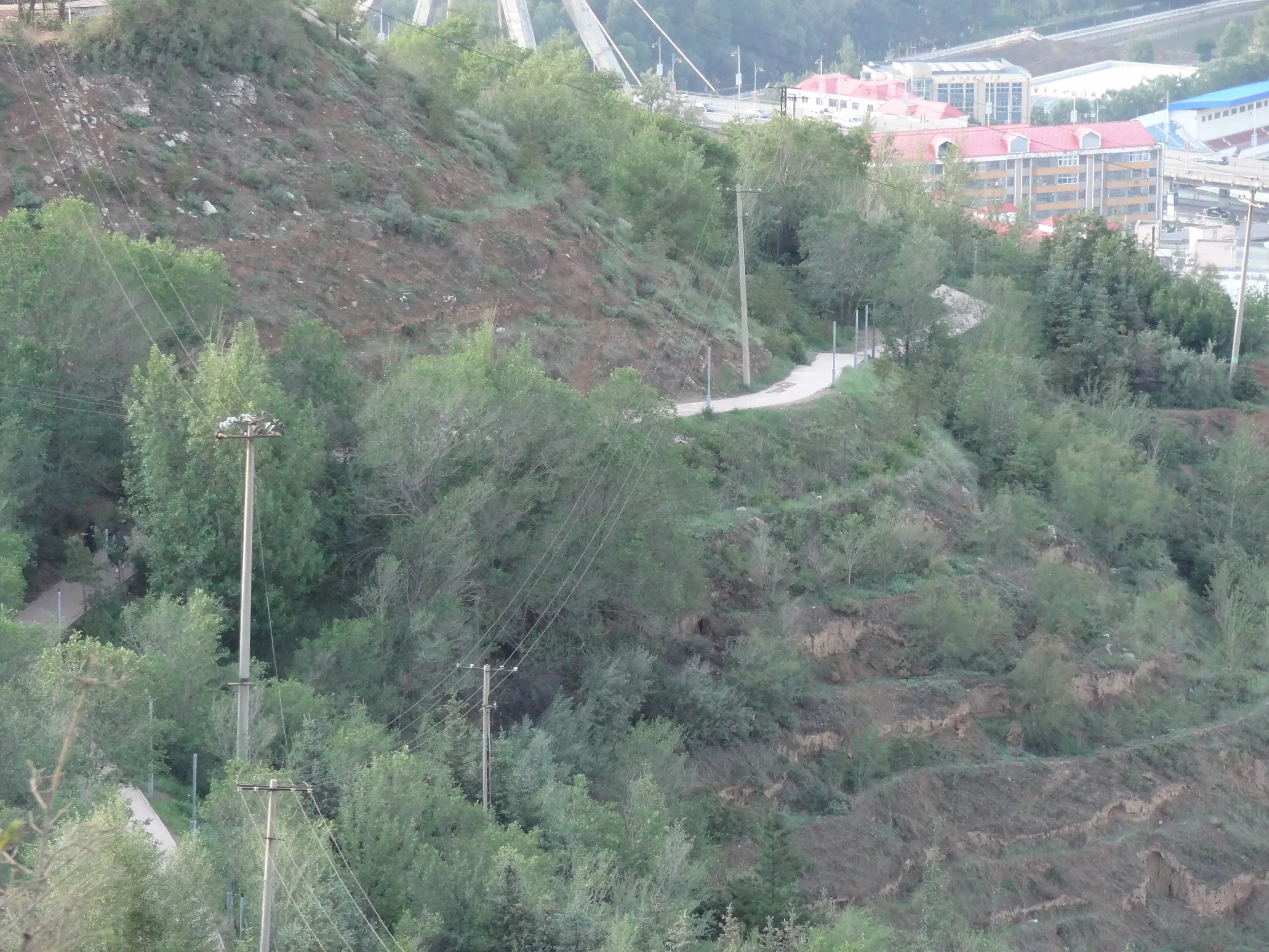 南山公園の禿げ山