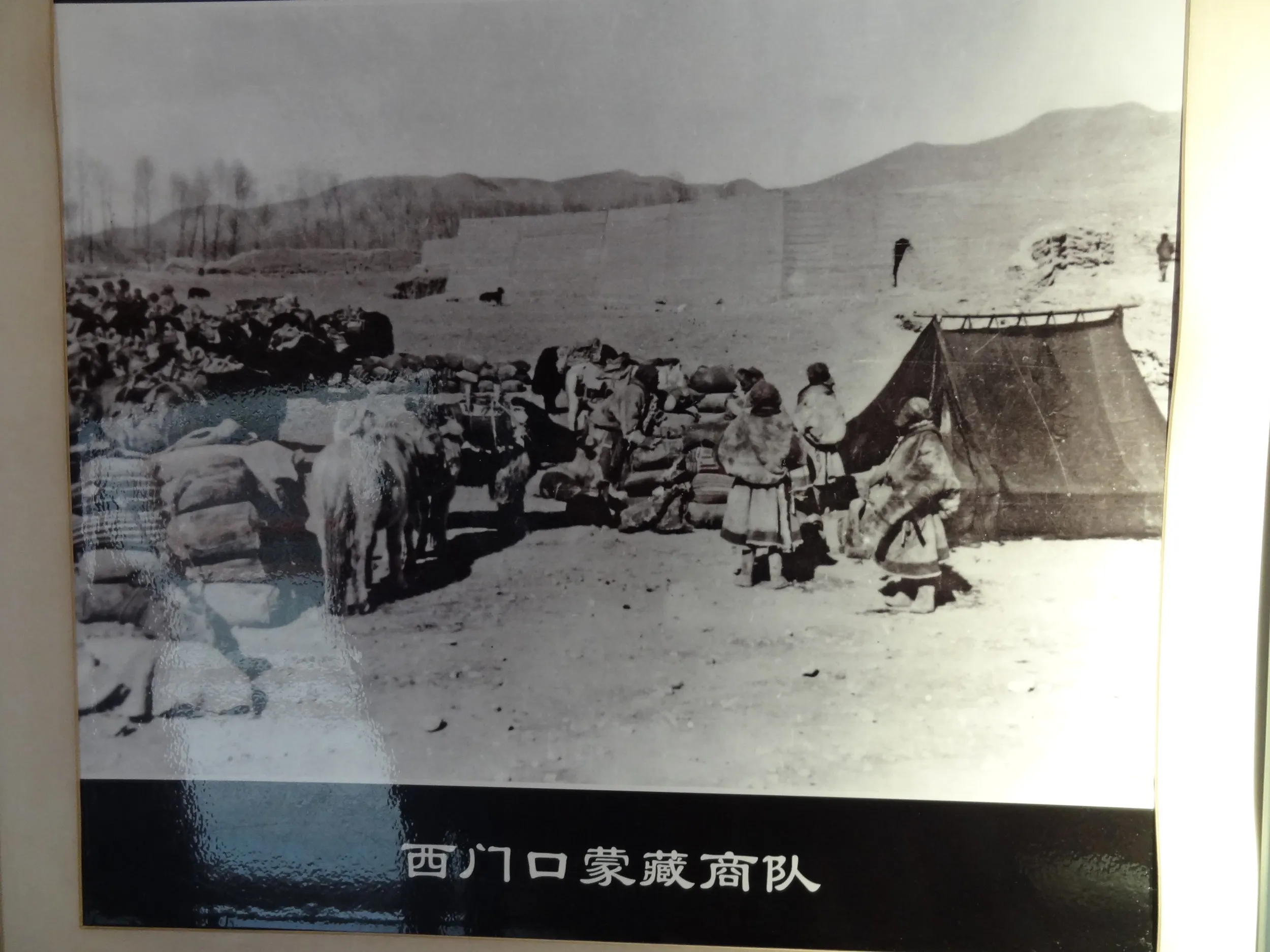 キャラバンの写真