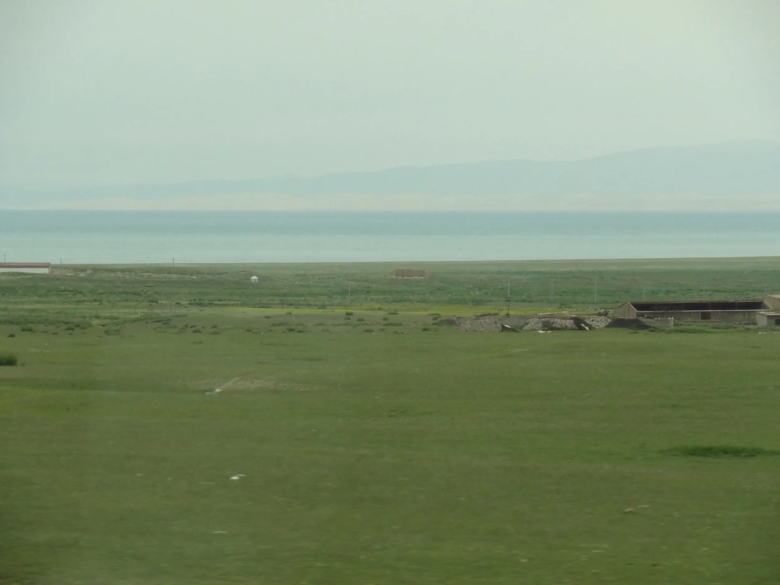 青海湖の湖畔と草原