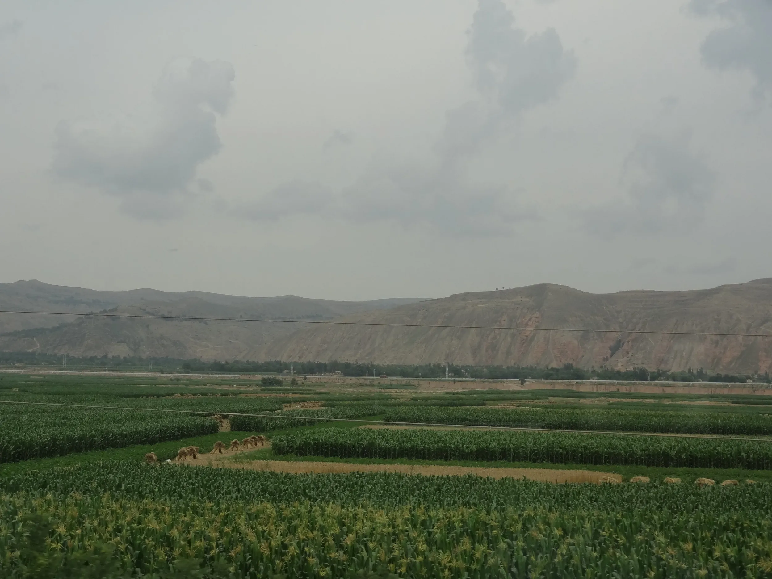 畑と禿げ山が広がる風景