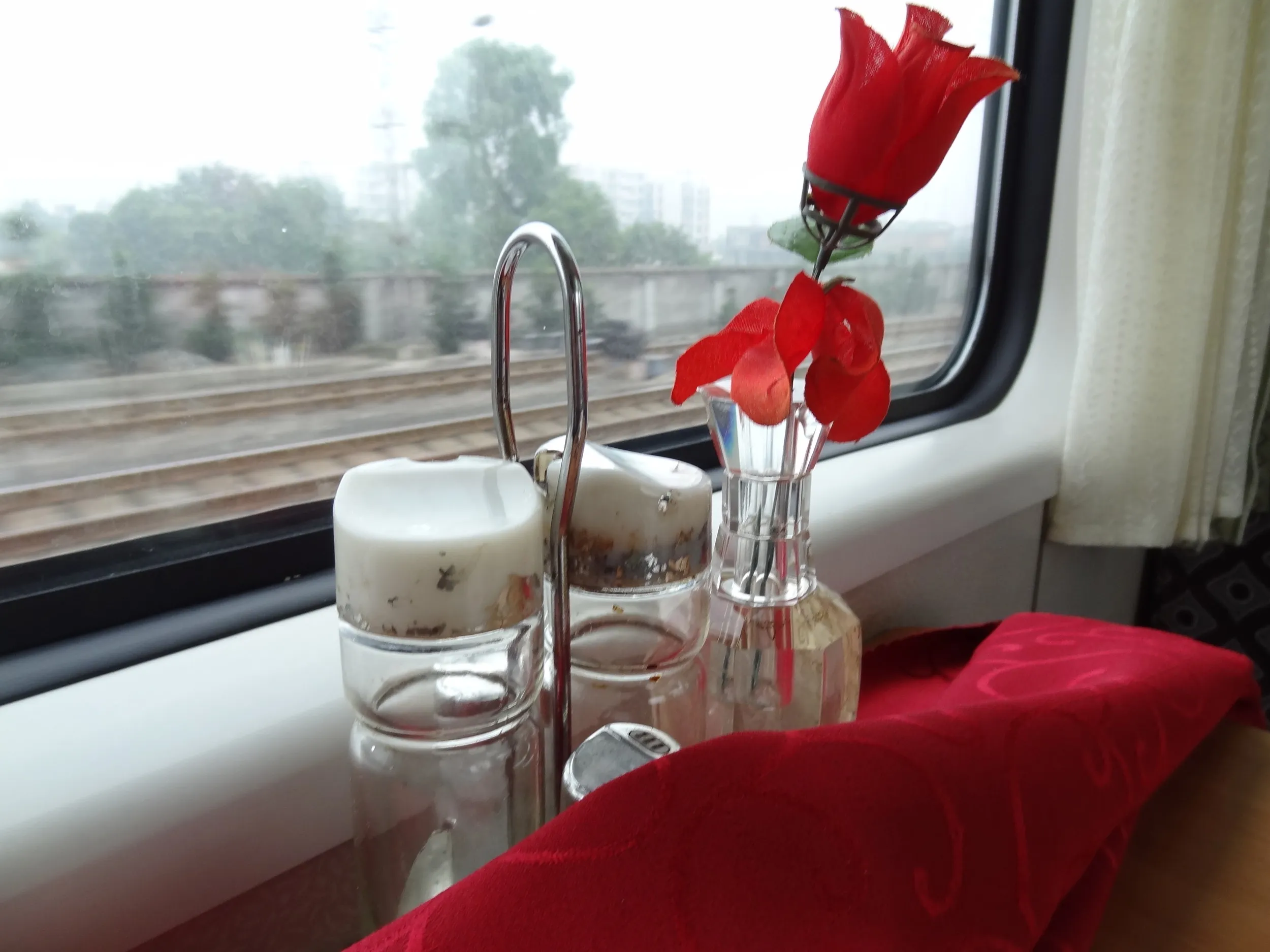 食堂車からの車窓風景