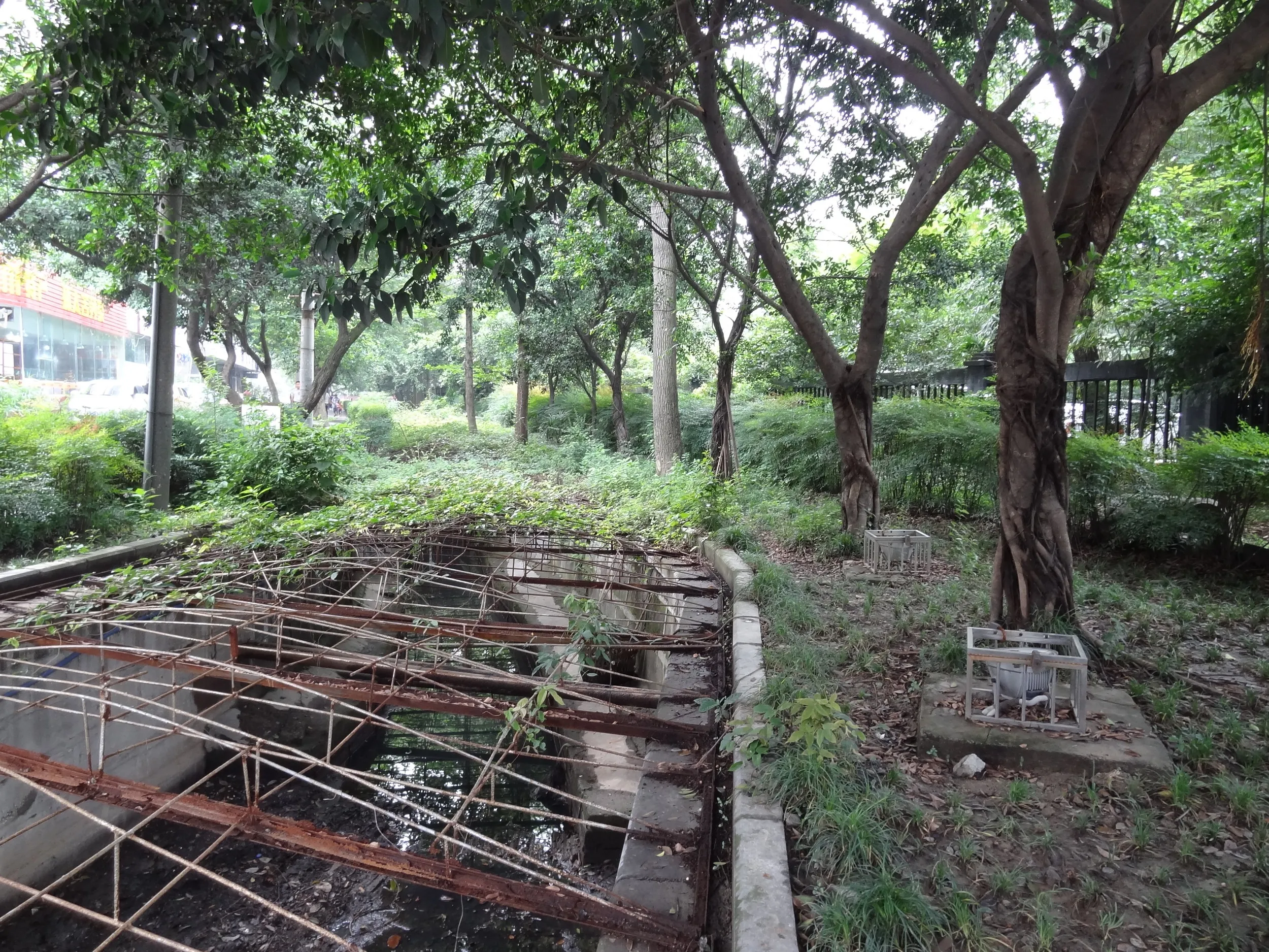 順城大街の道端の風景