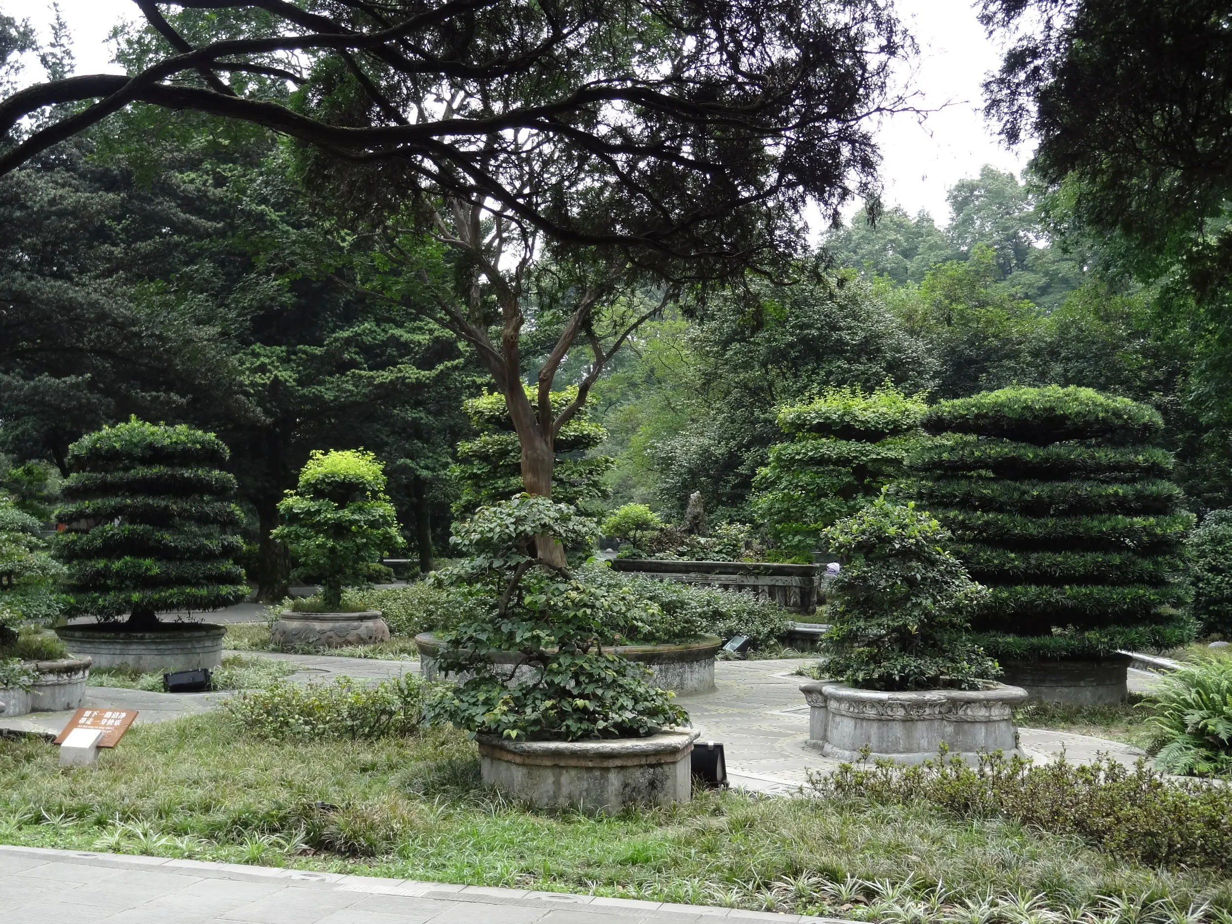公園内の手入れされた木々