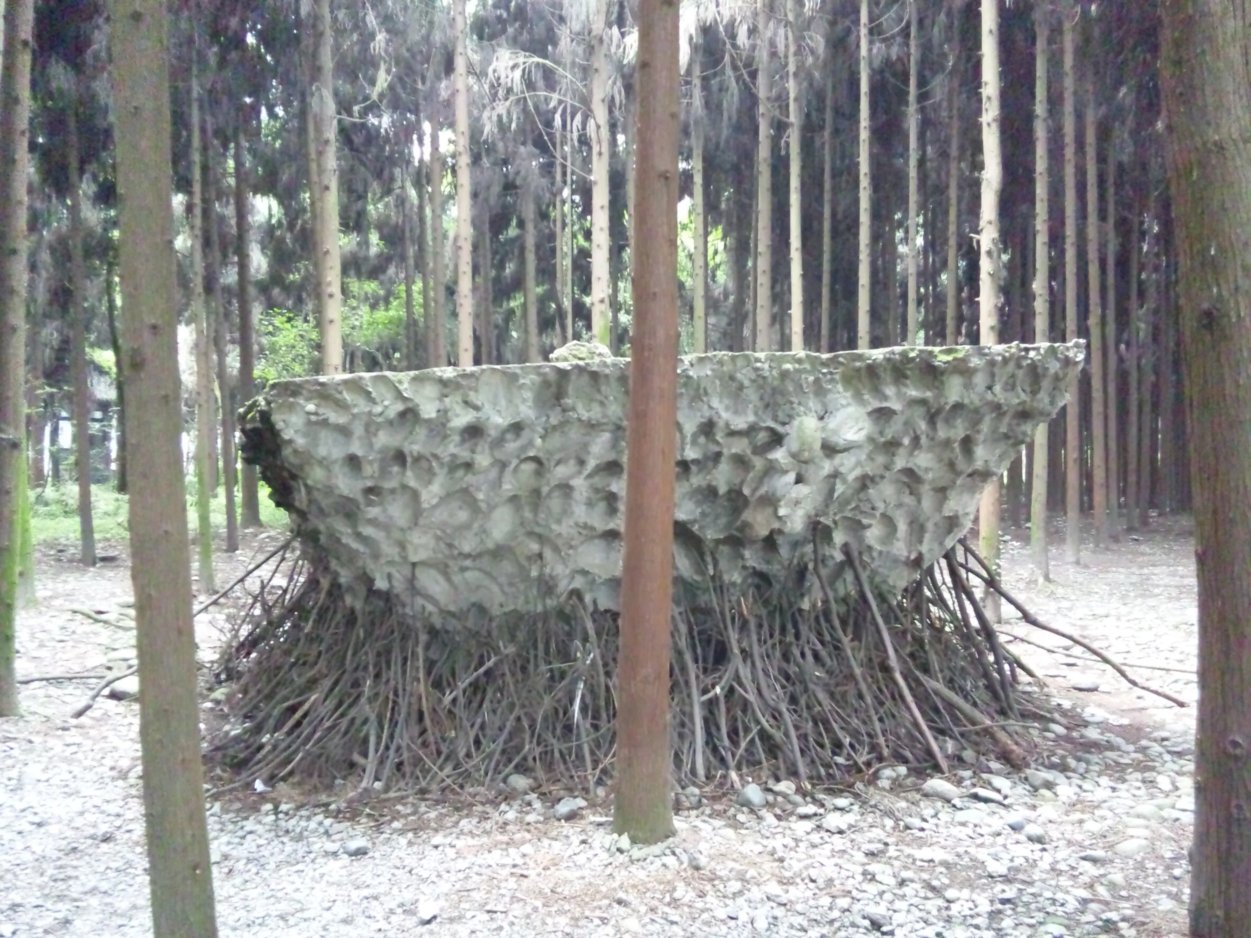 林の中の使途不明の物体