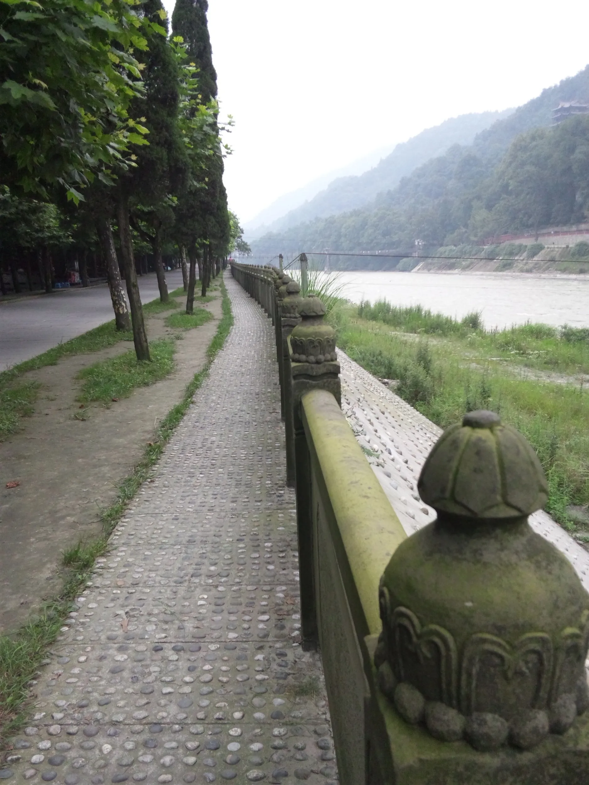 川岸に沿って進む