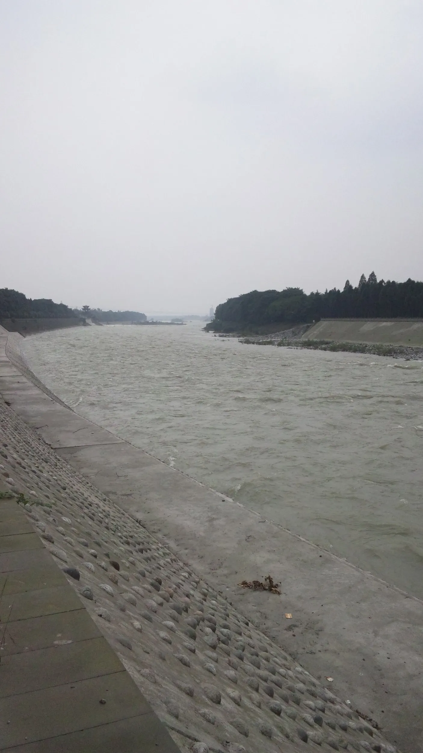 護岸された川岸