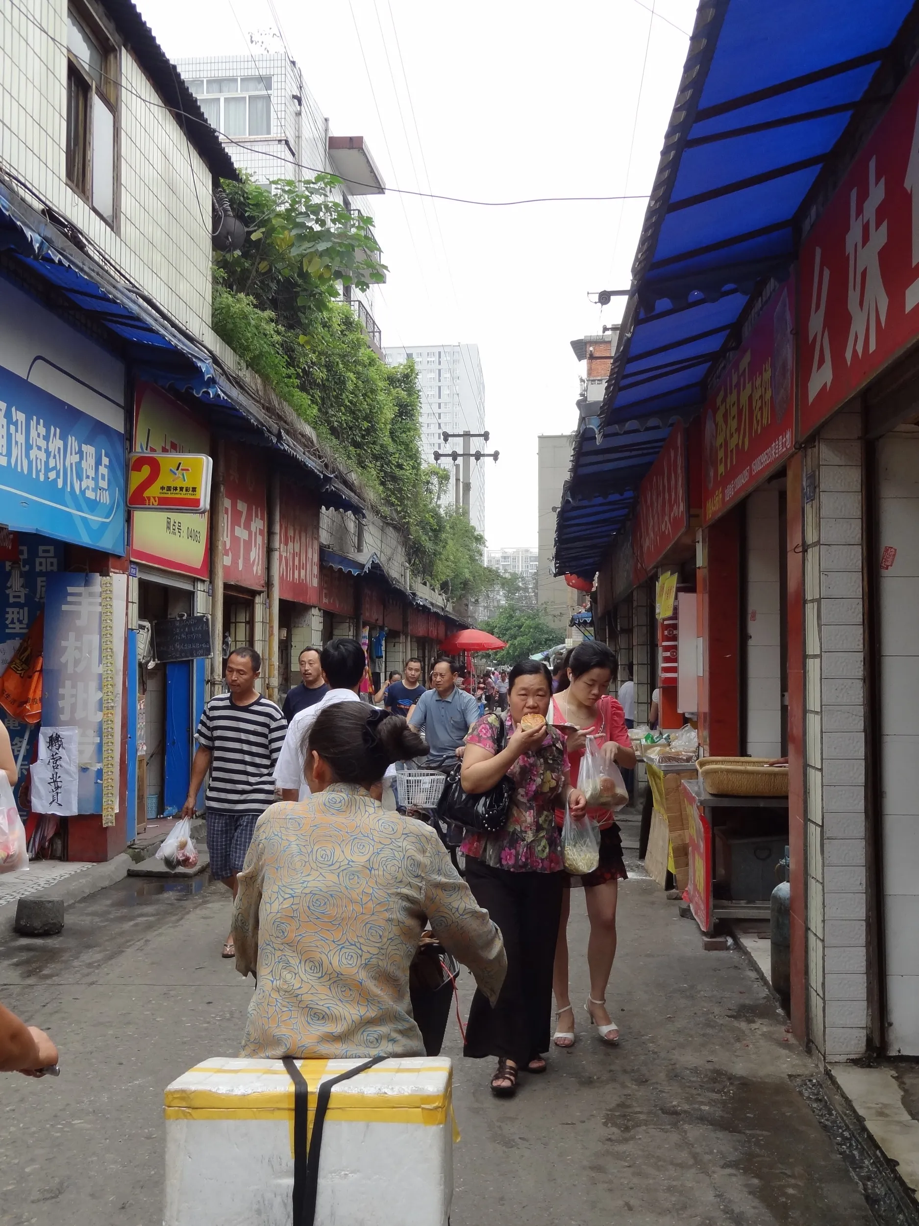 北側の路上の風景