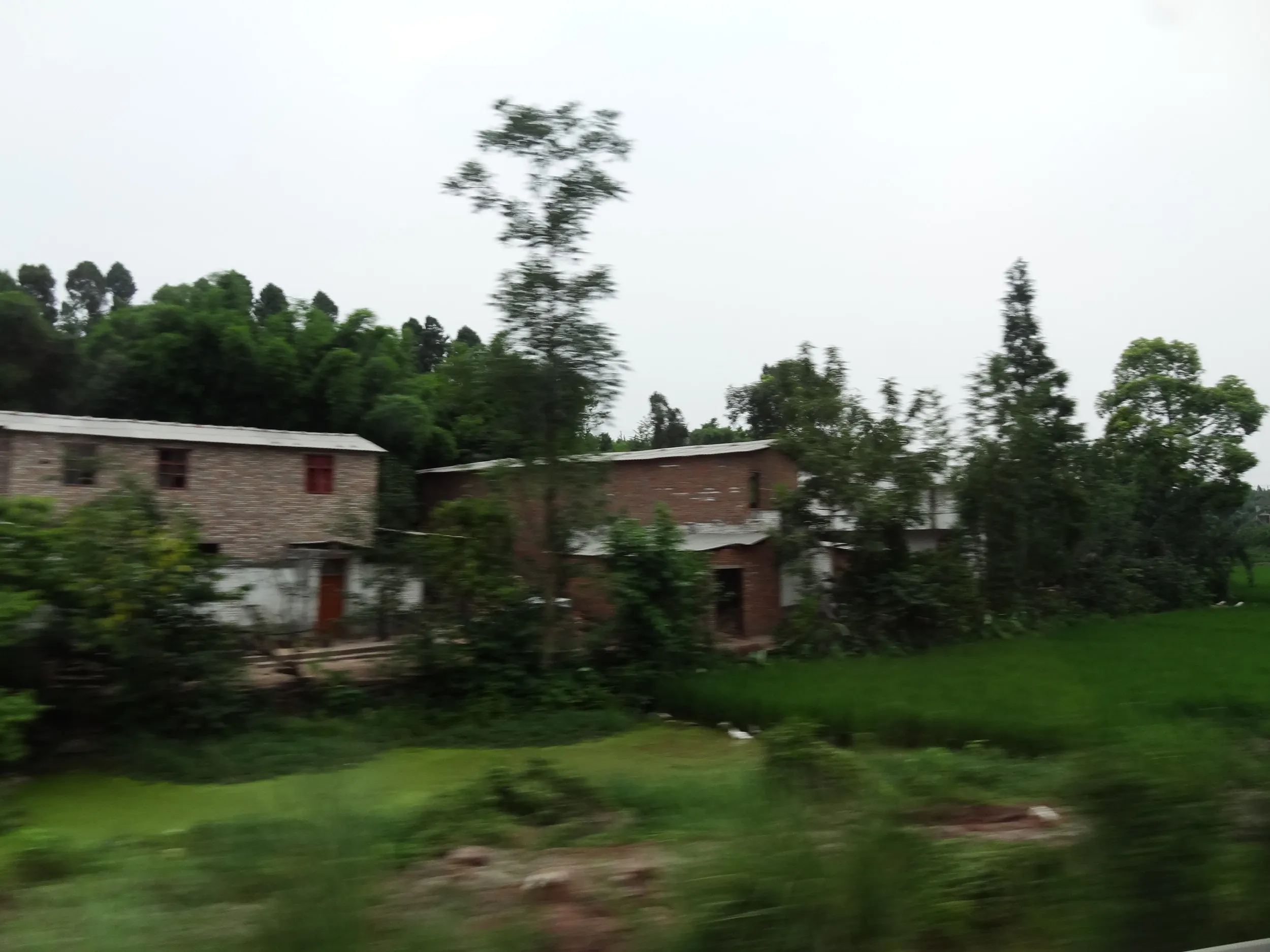 農村の車窓風景