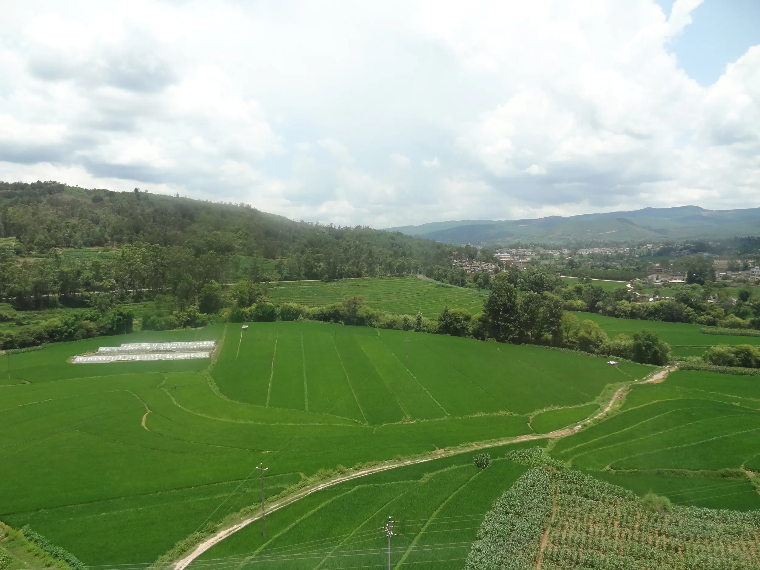 のどかな田園風景