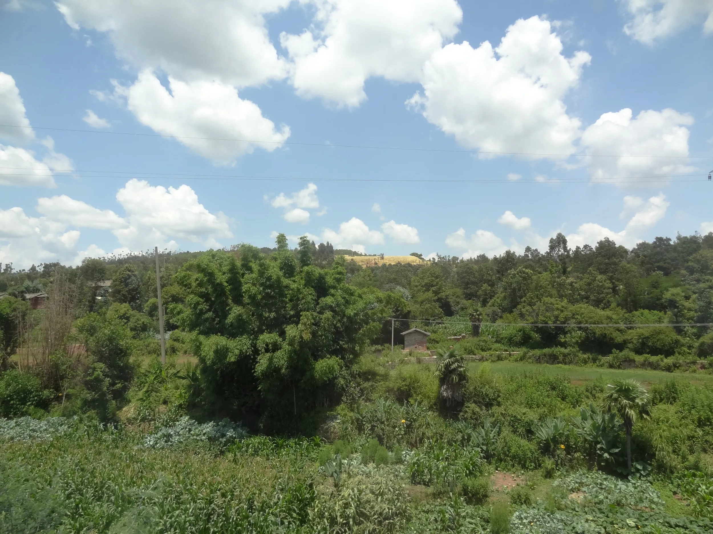 コントラストが強い風景