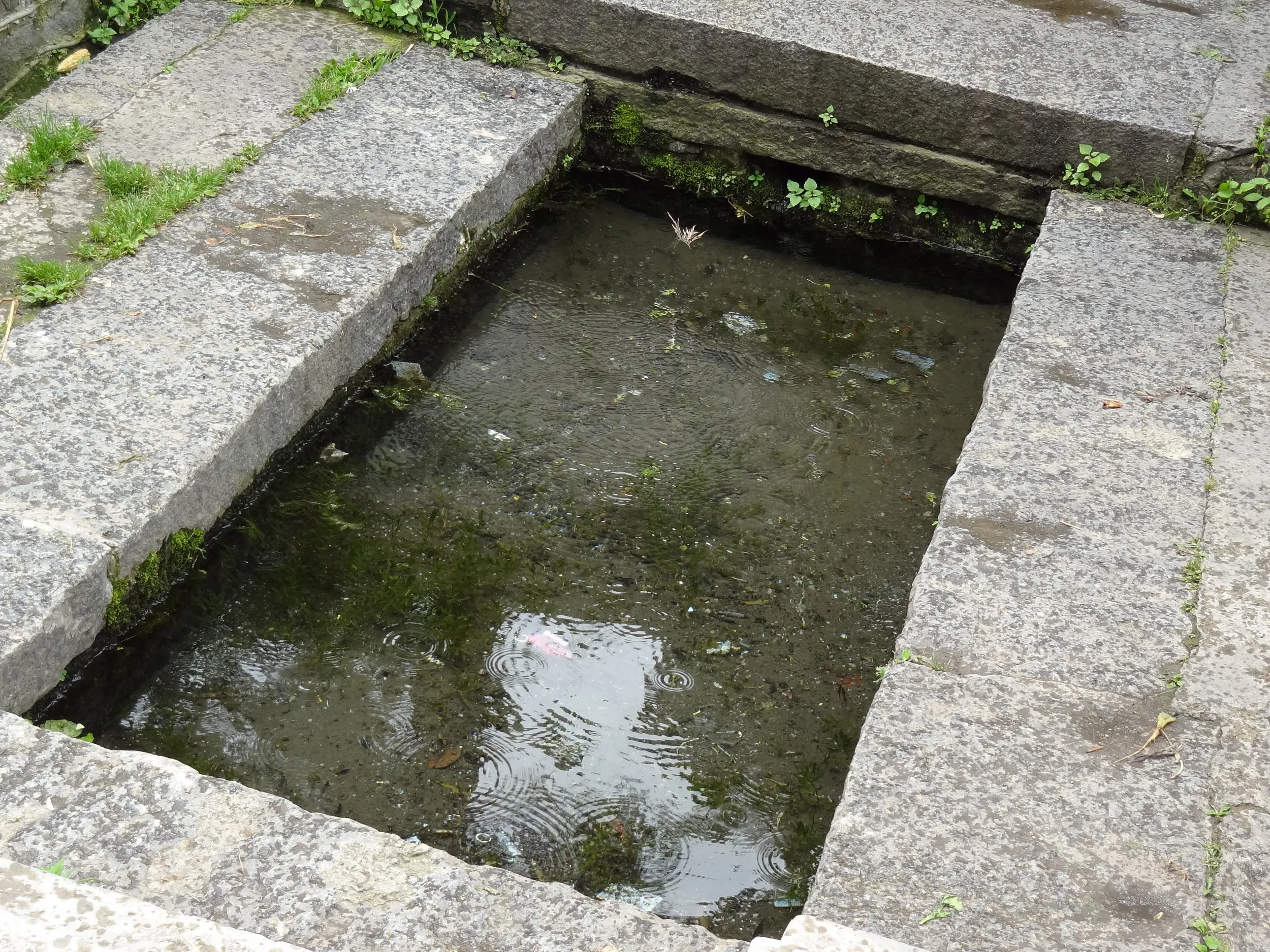 共同の水飲み場