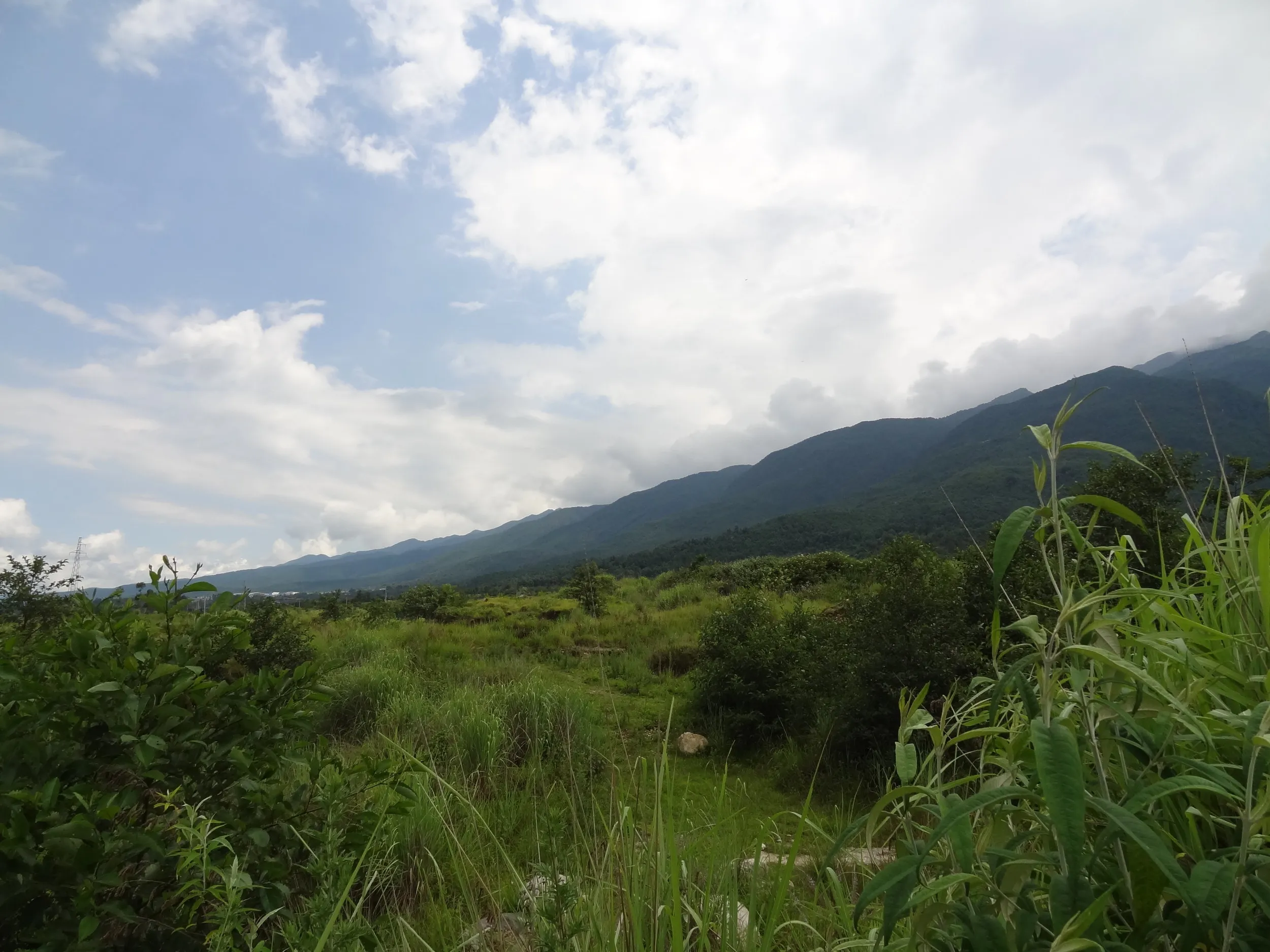 蒼山の稜線と山麓の風景