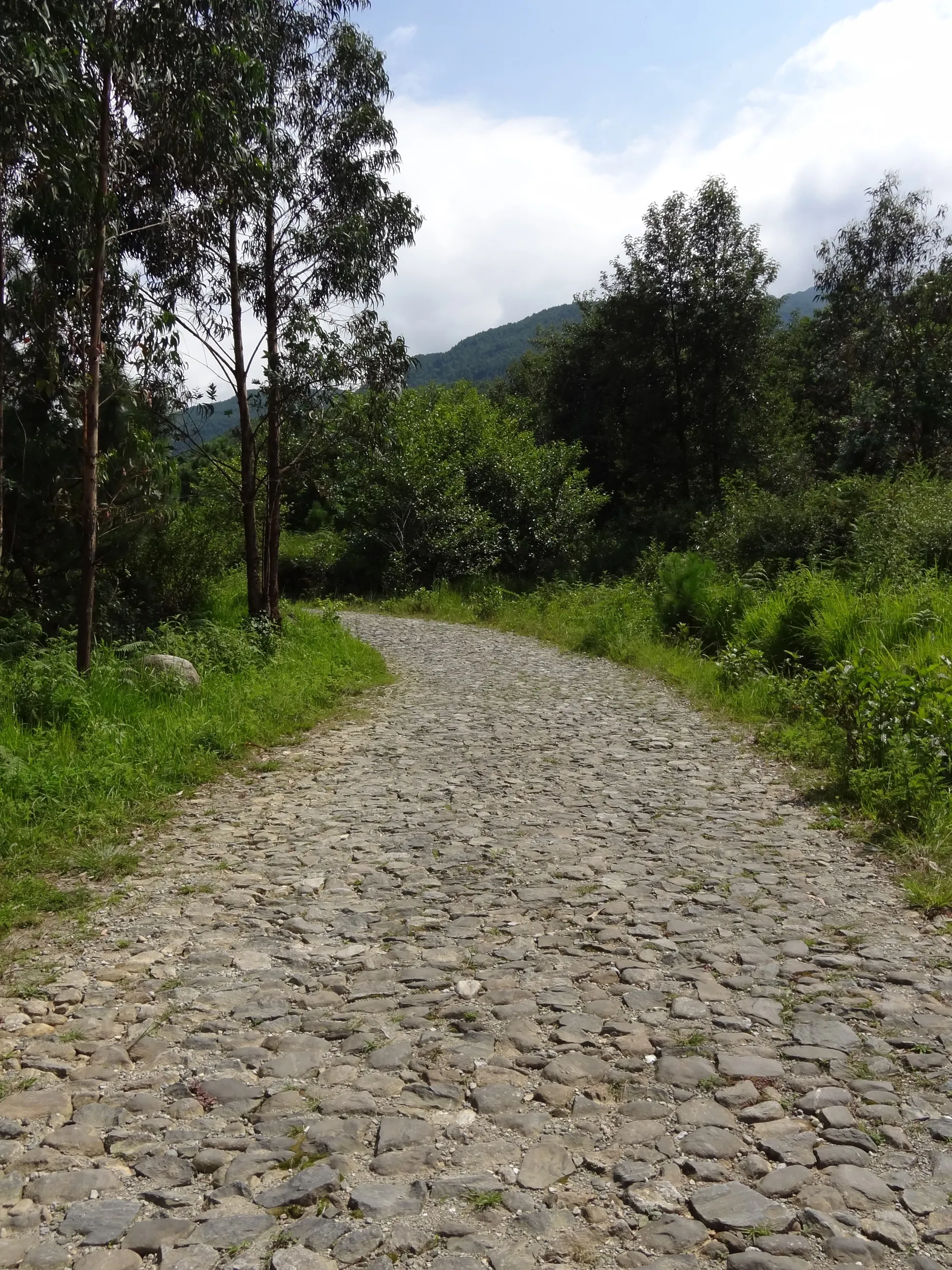 蒼山の桃渓谷へと続く山道