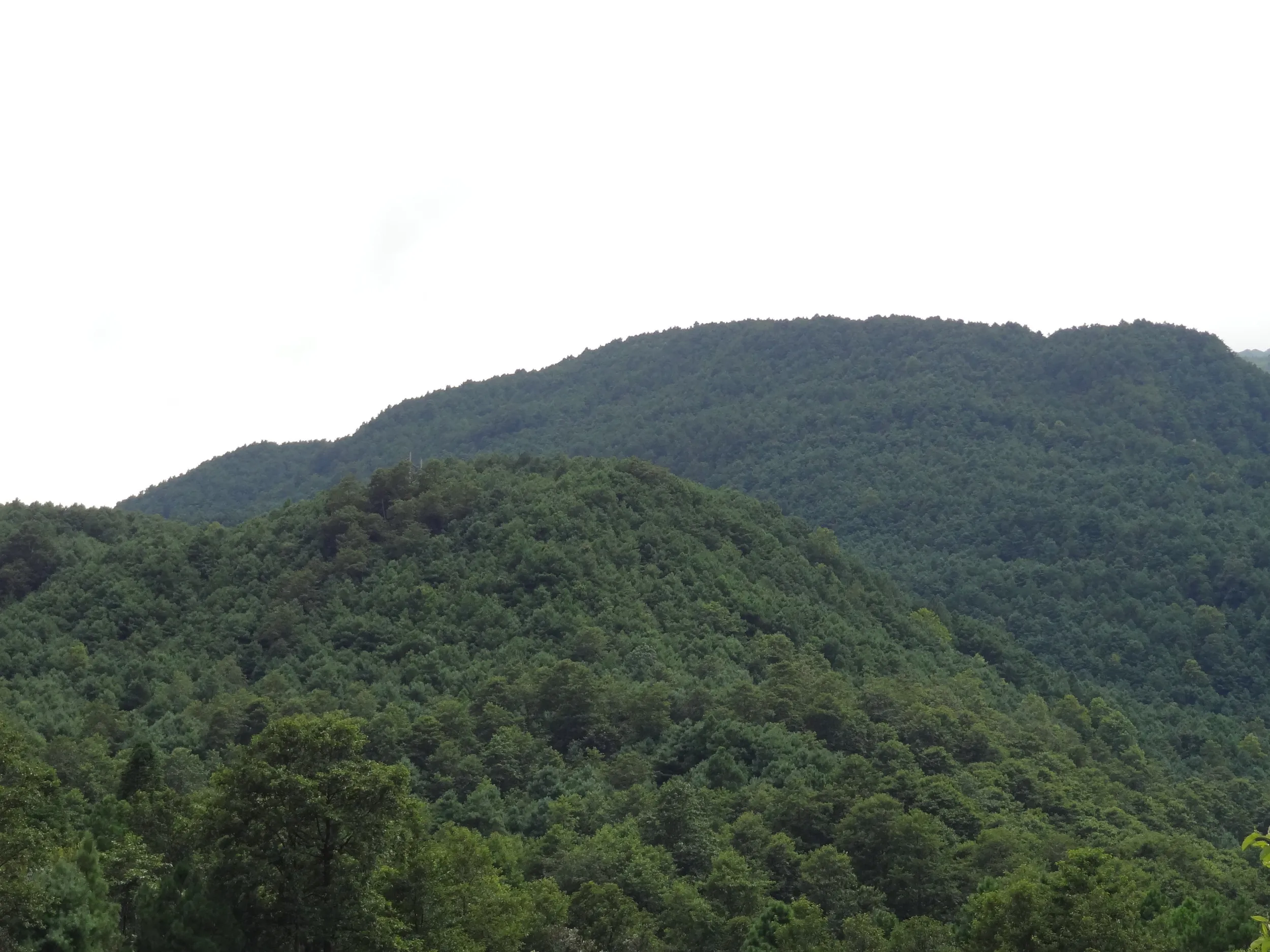 蒼山の桃渓谷から見た蒼山の風景