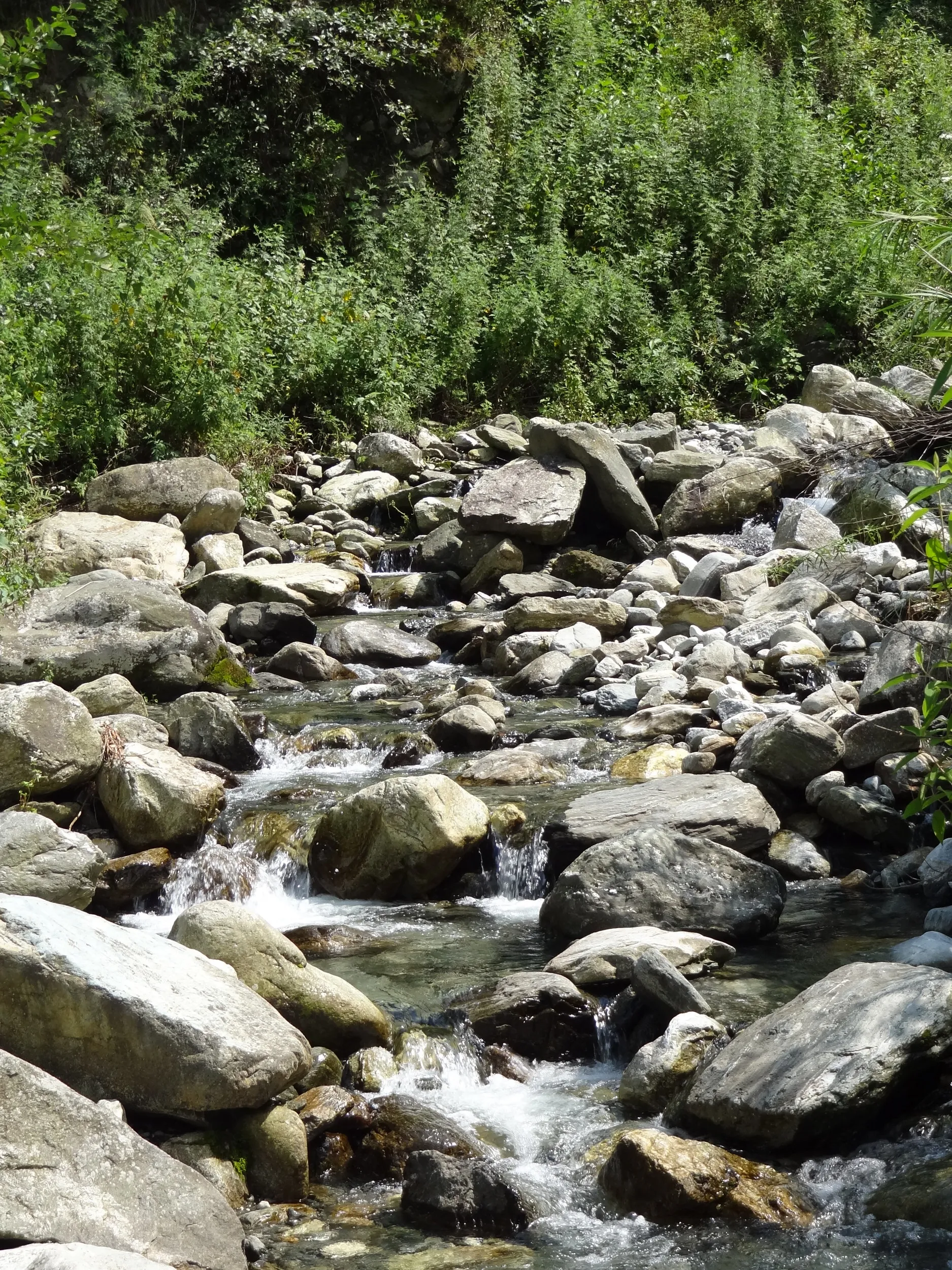 蒼山の桃渓谷と透き通った水が流れる渓流