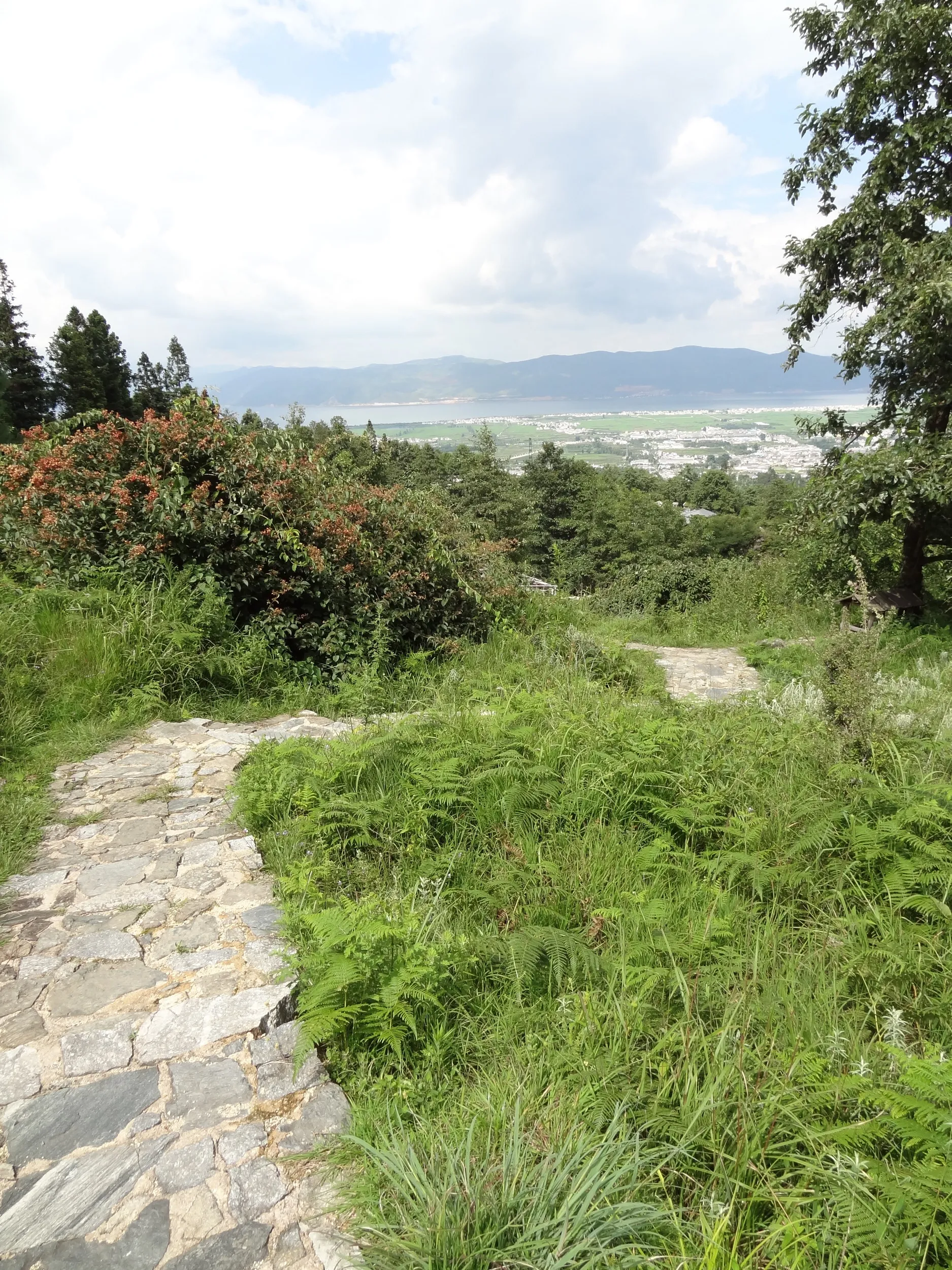 蒼山の桃渓谷の道