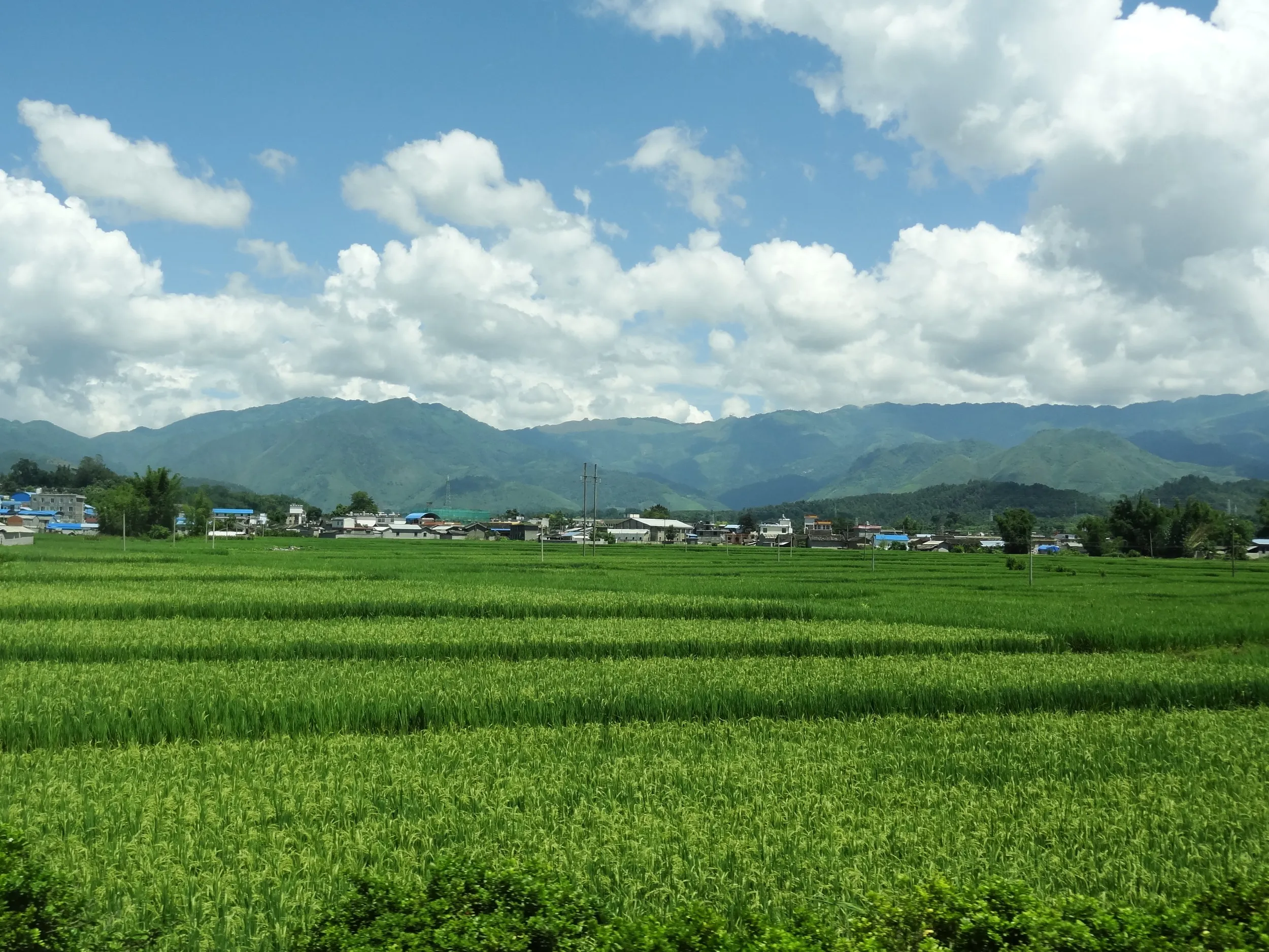 芒市と瑞麗の間の田園風景