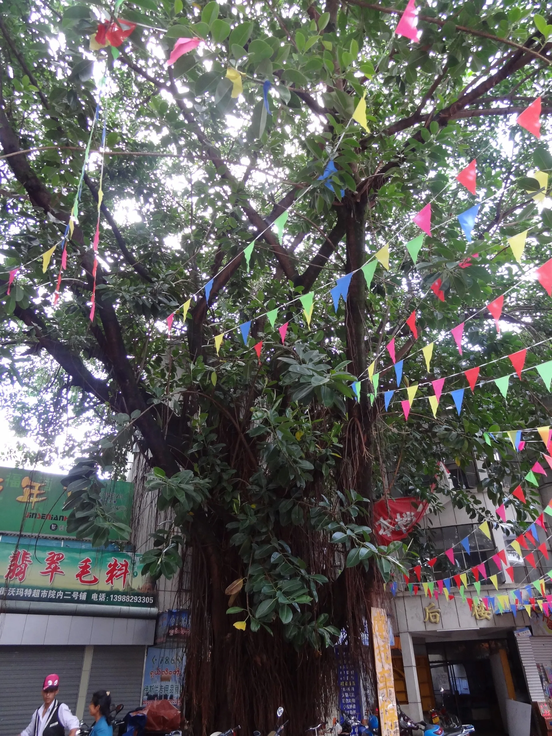 デパート傍の風景