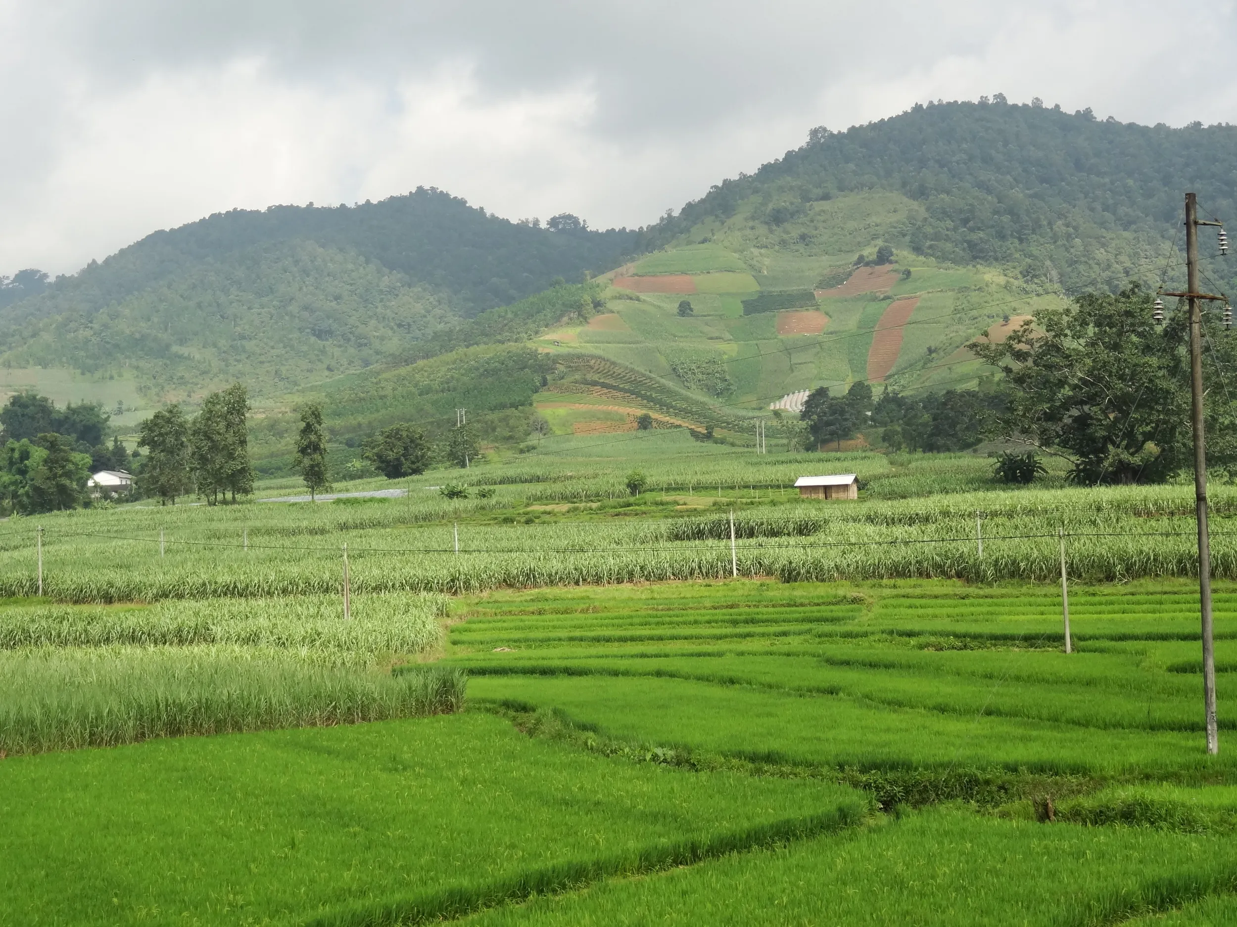 瑞麗〜芒市の間の田園風景