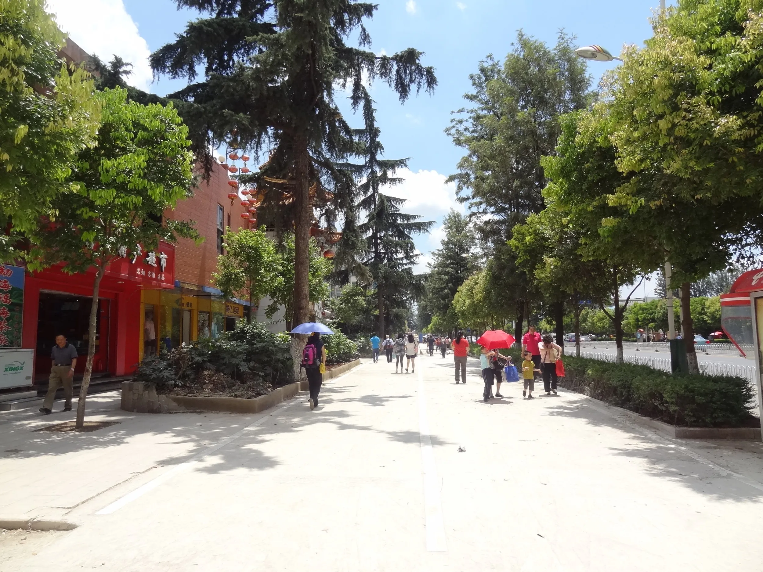 茶花国際青年旅舎(ユースホステル)付近の風景