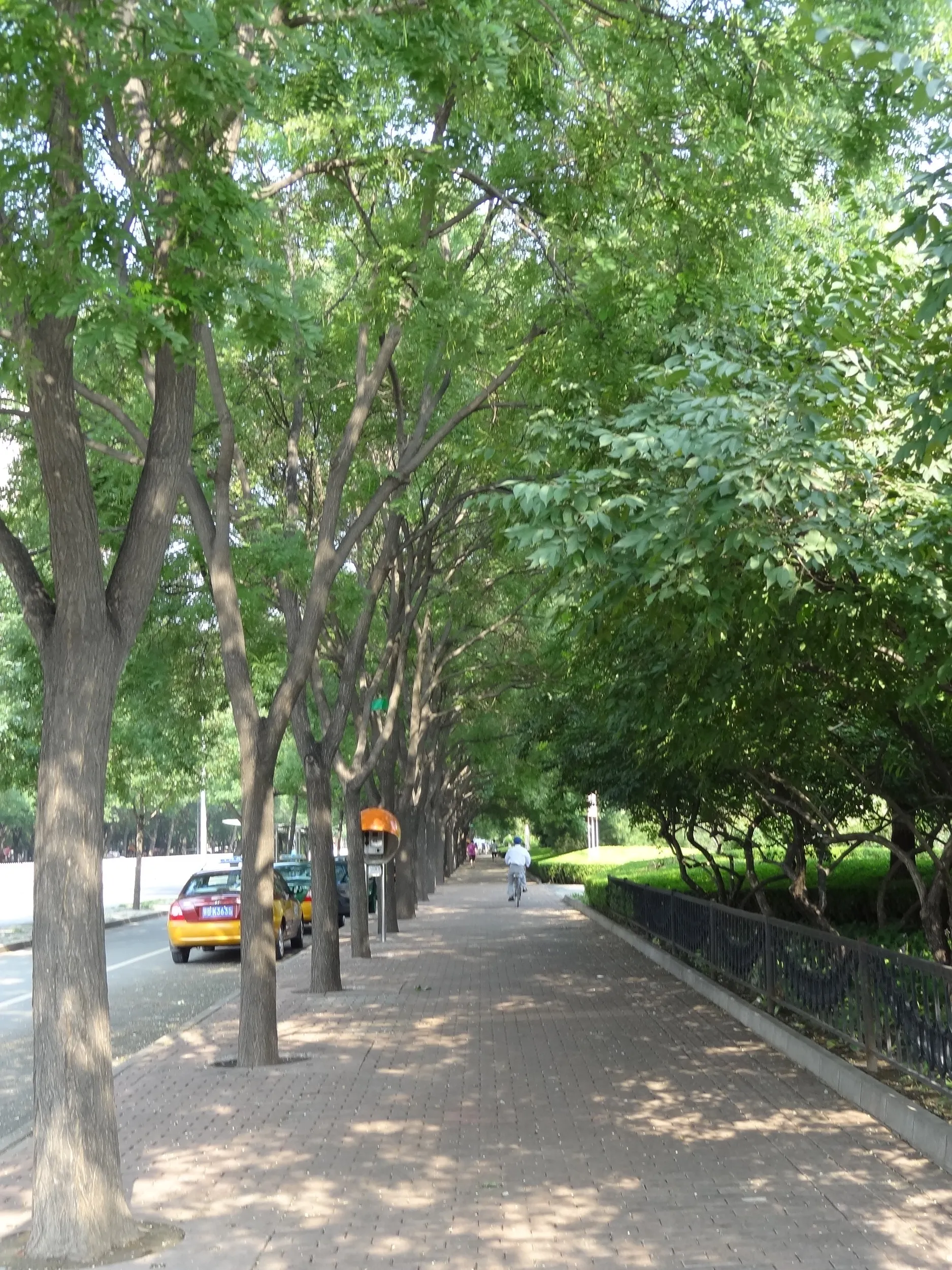 知春路を東へ歩く