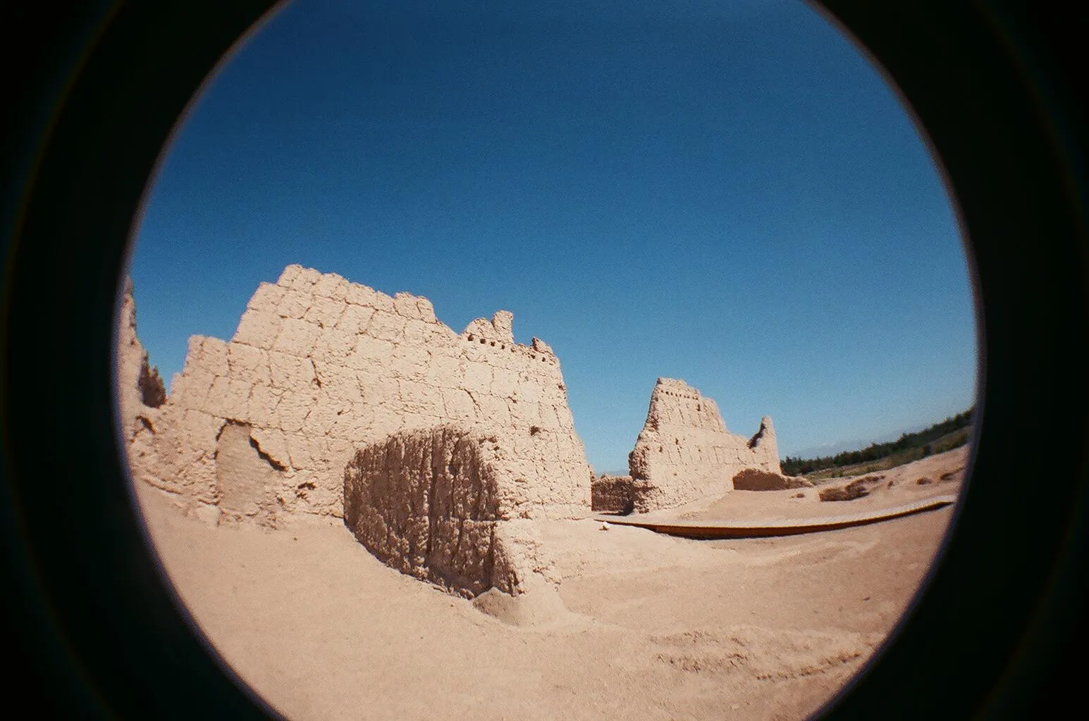 Lomo Fisheye2で撮影