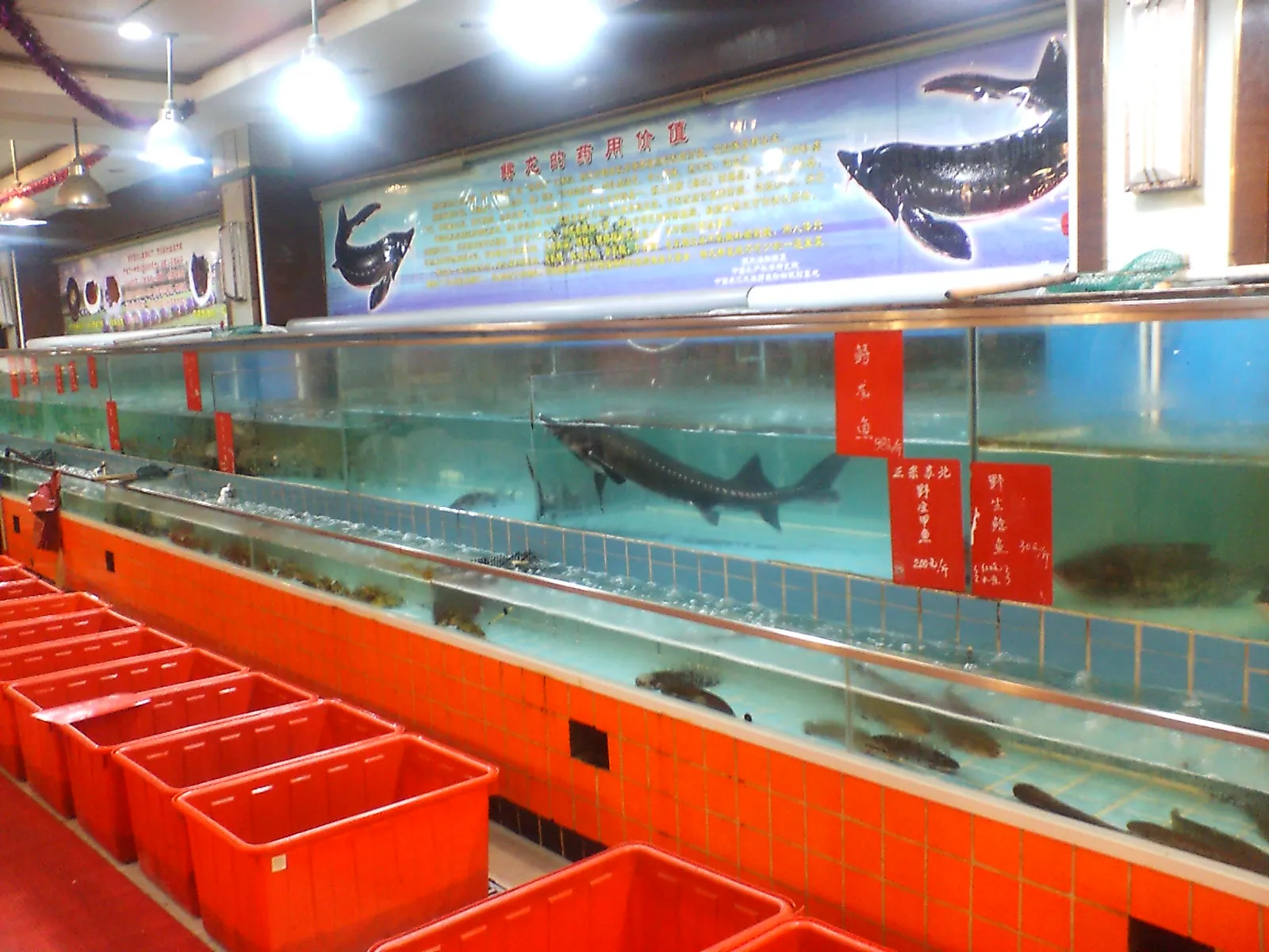 とまとじゅーす的上海市内観光 食べたい食材を500g単位、もしくは100g単位で選びます