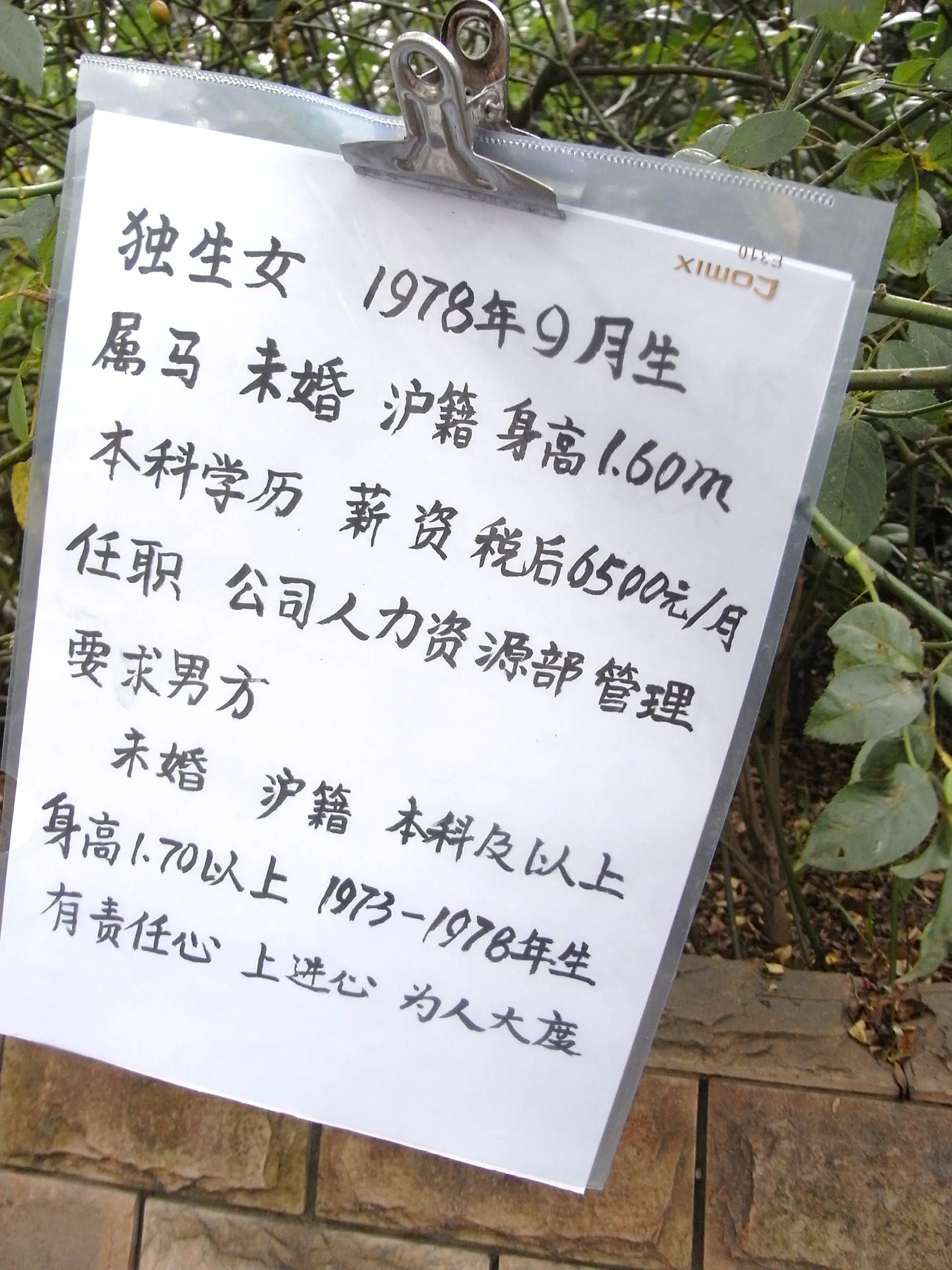 人民公園で行われていたお見合い