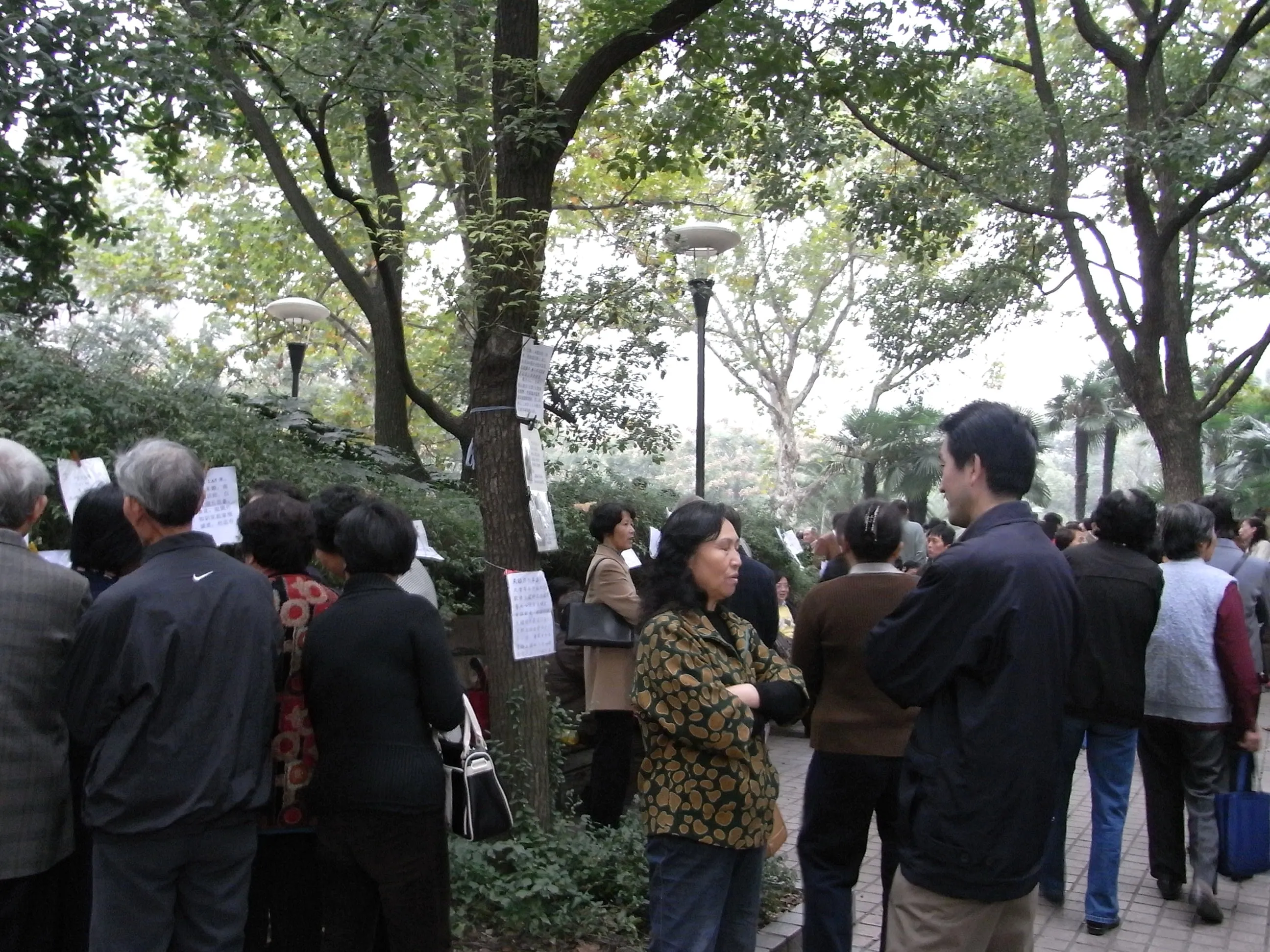 至る所でお見合い