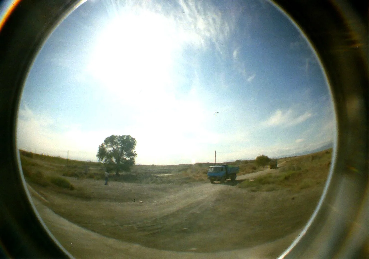 LOMO Fisheye2で撮影した白楊と胡楊の防風林